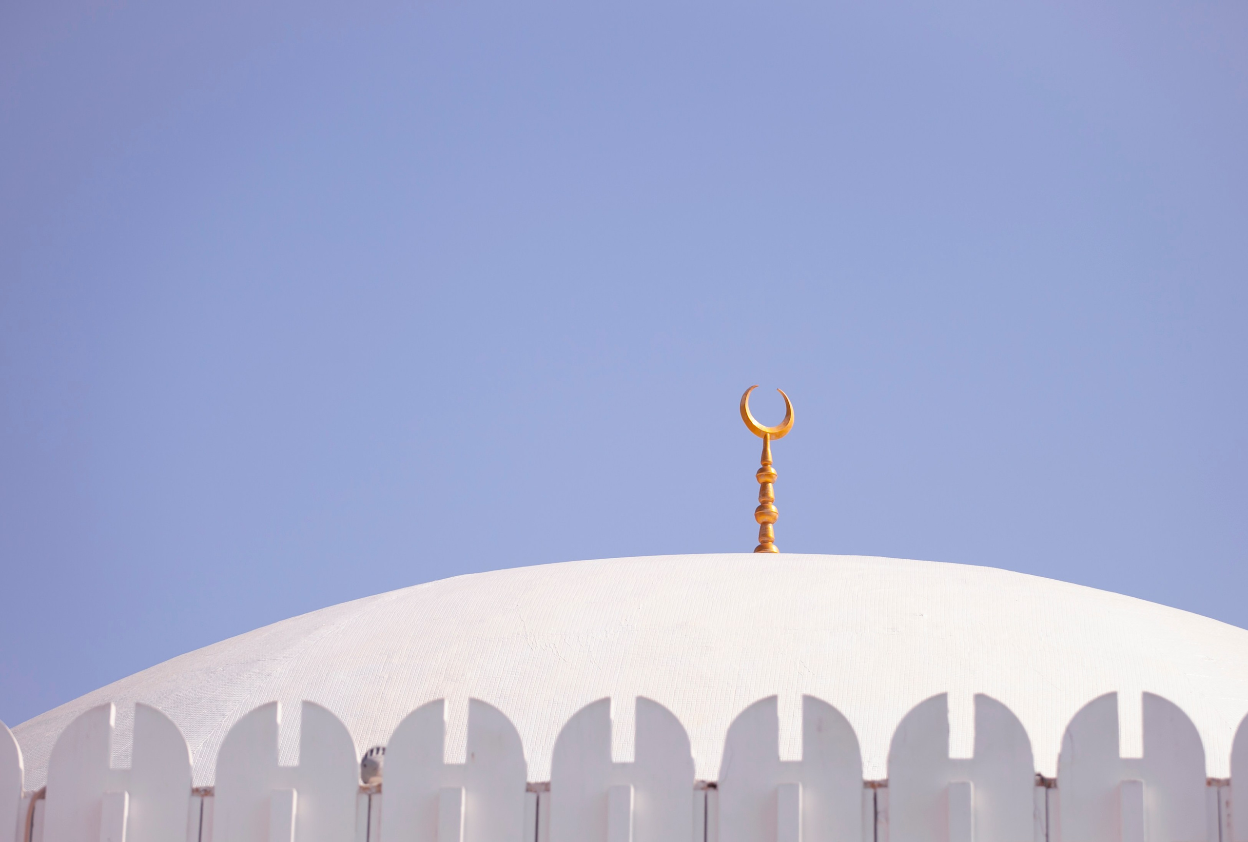 ОТПУСК. Репортажная и студийная съёмка в Челябинске — Захар Стеничкин