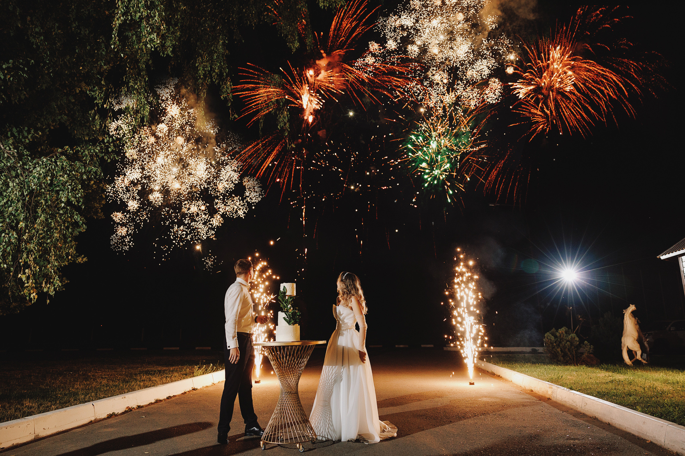 Дмитий Полина. Свадебный фотограф и видеограф Дмитрий Горяченков