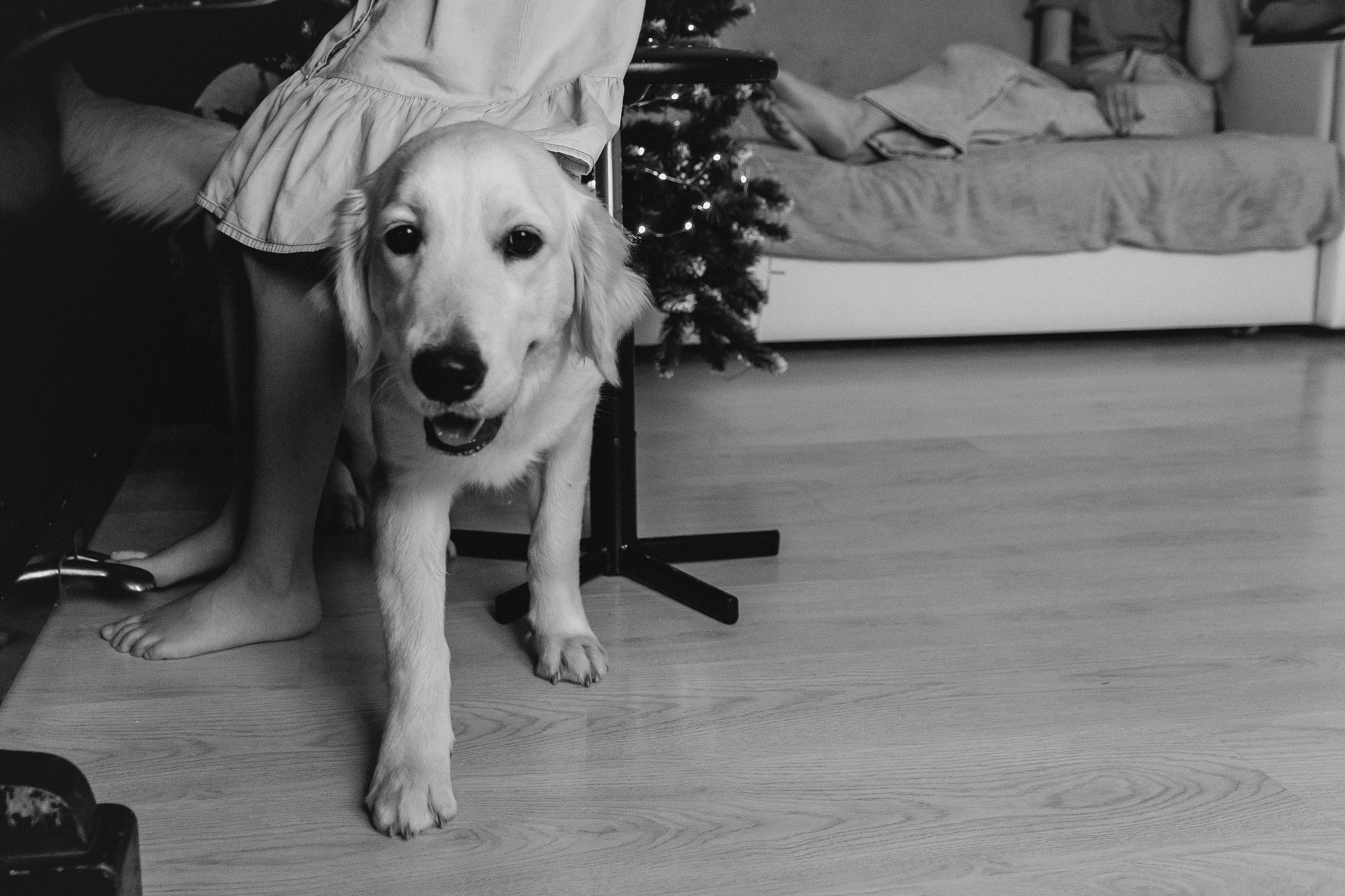 Пицца своими руками. Фотограф в Краснодаре Ксения Мархинина