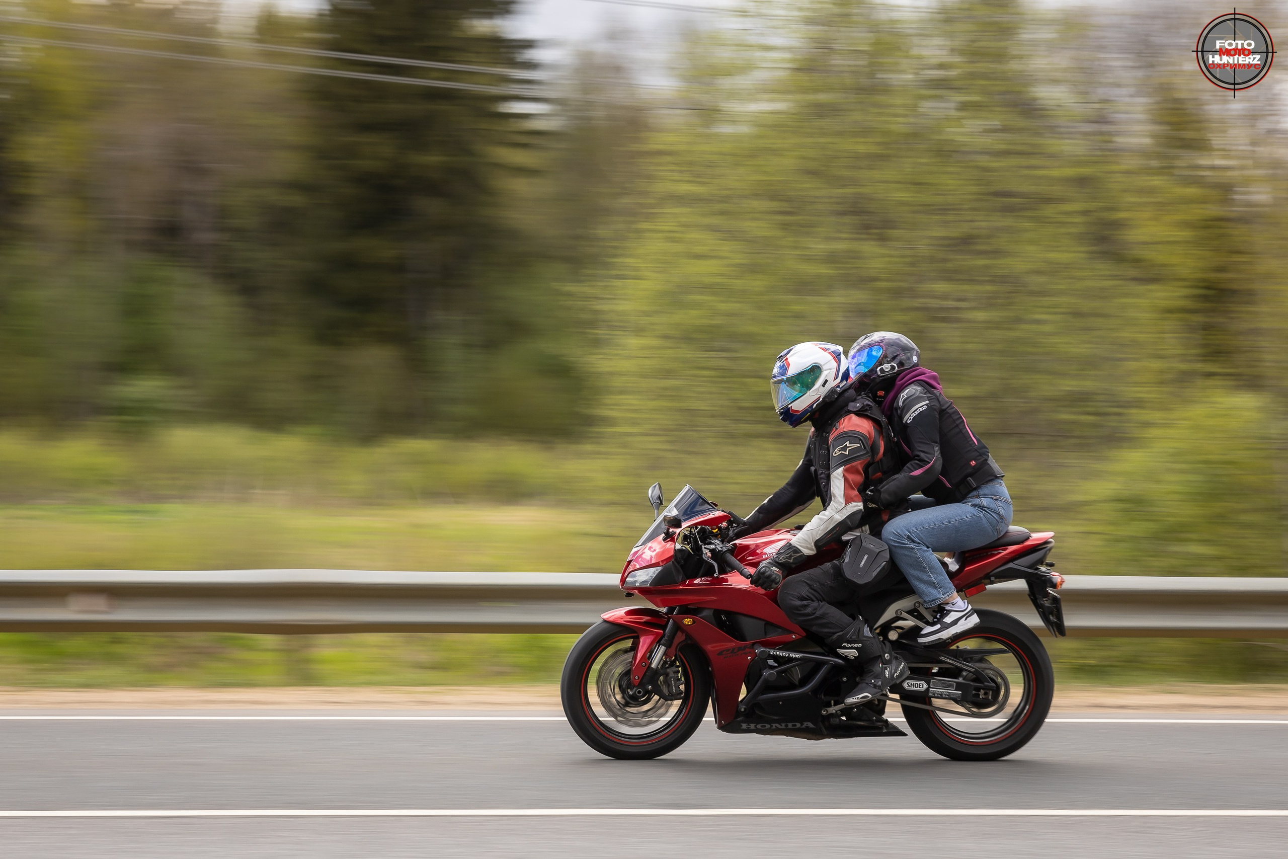 Первое Сафари в 2025 г. на Рогачевском ш. Фотограф Владимир Охрименко