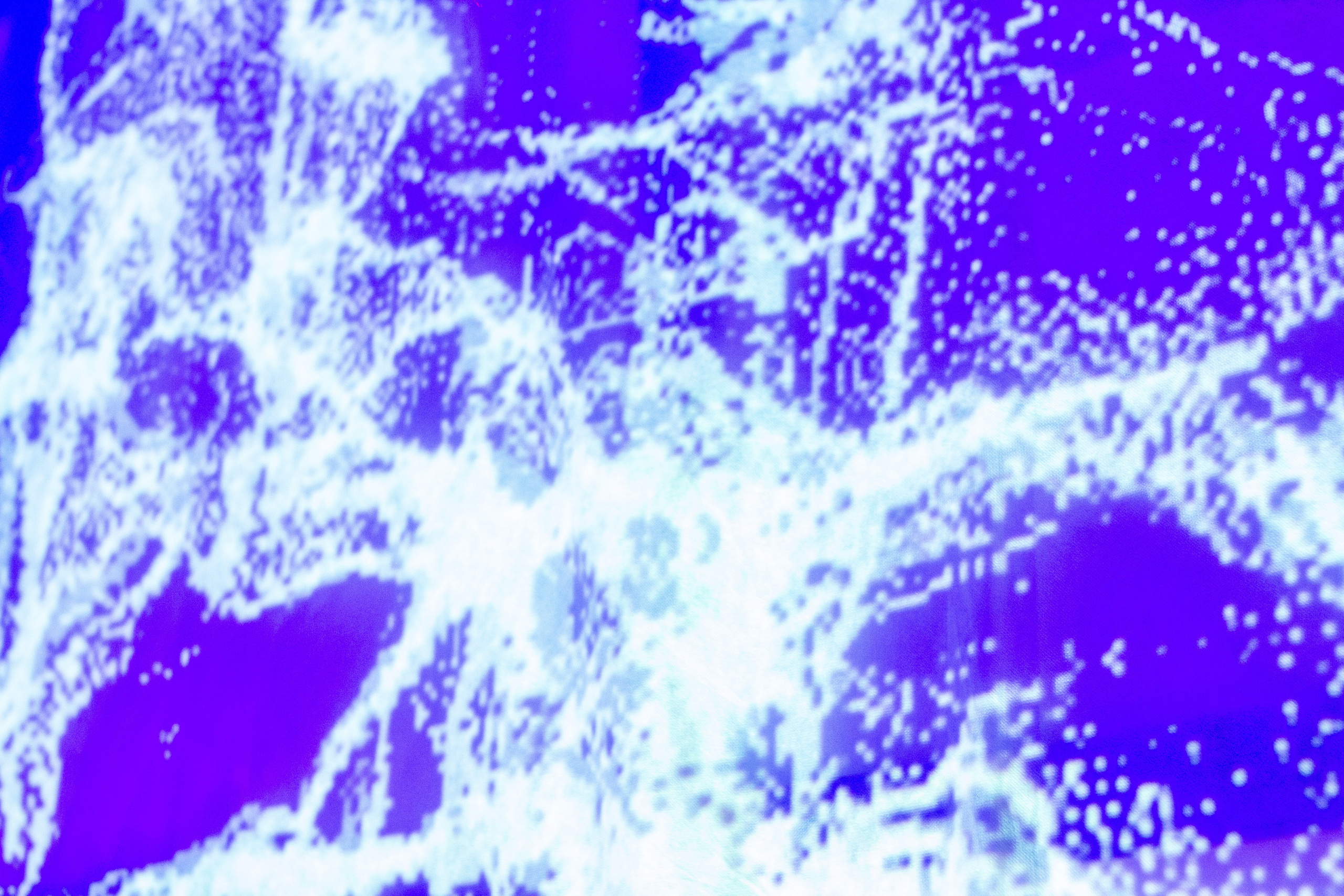 Профориентационный вечер профиля «Цифровое искусство» в Екатеринбургской академии современного искусства 2024