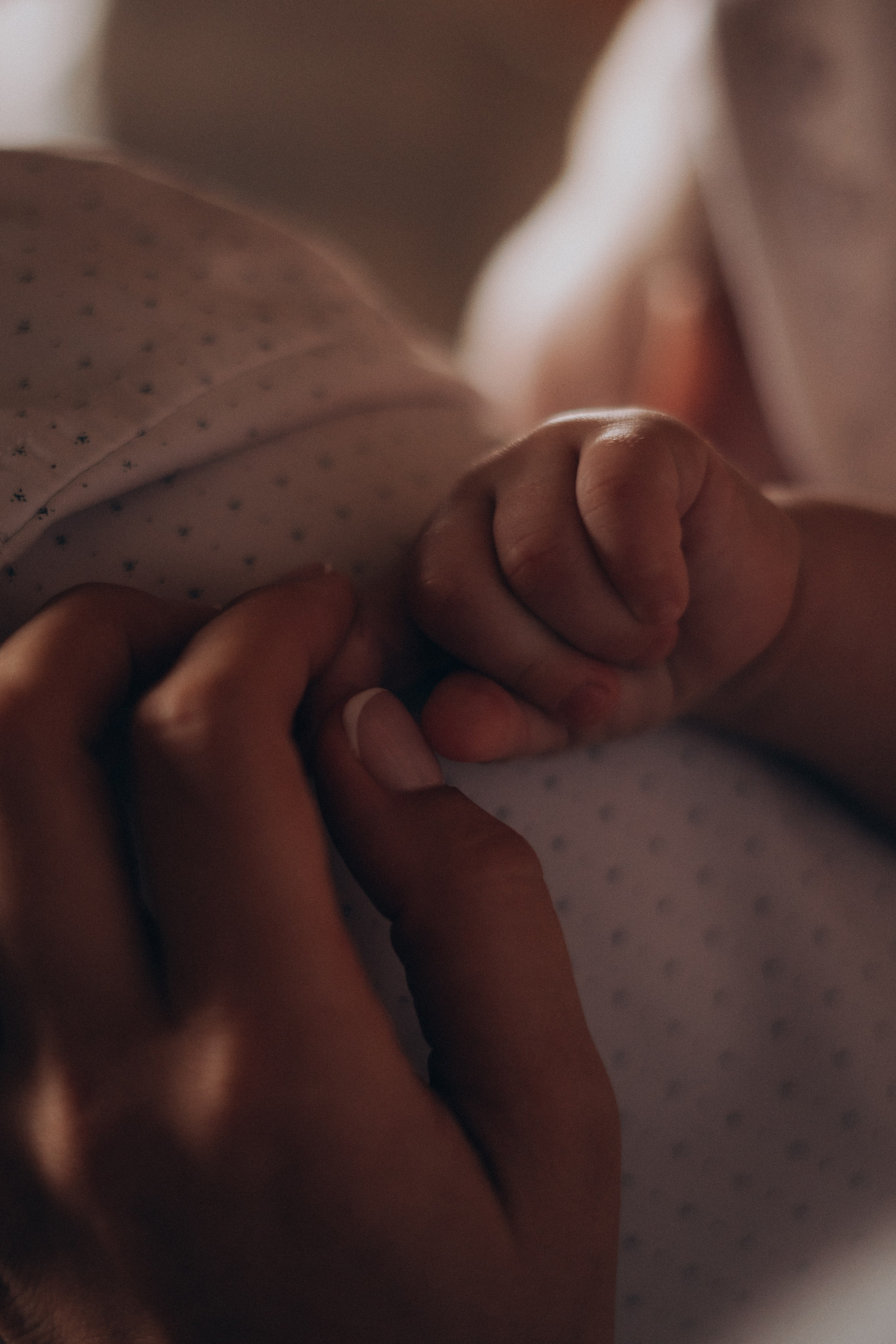 13.10.2024. Фотограф Торопец Кристина Абрамова Kanwellia photography