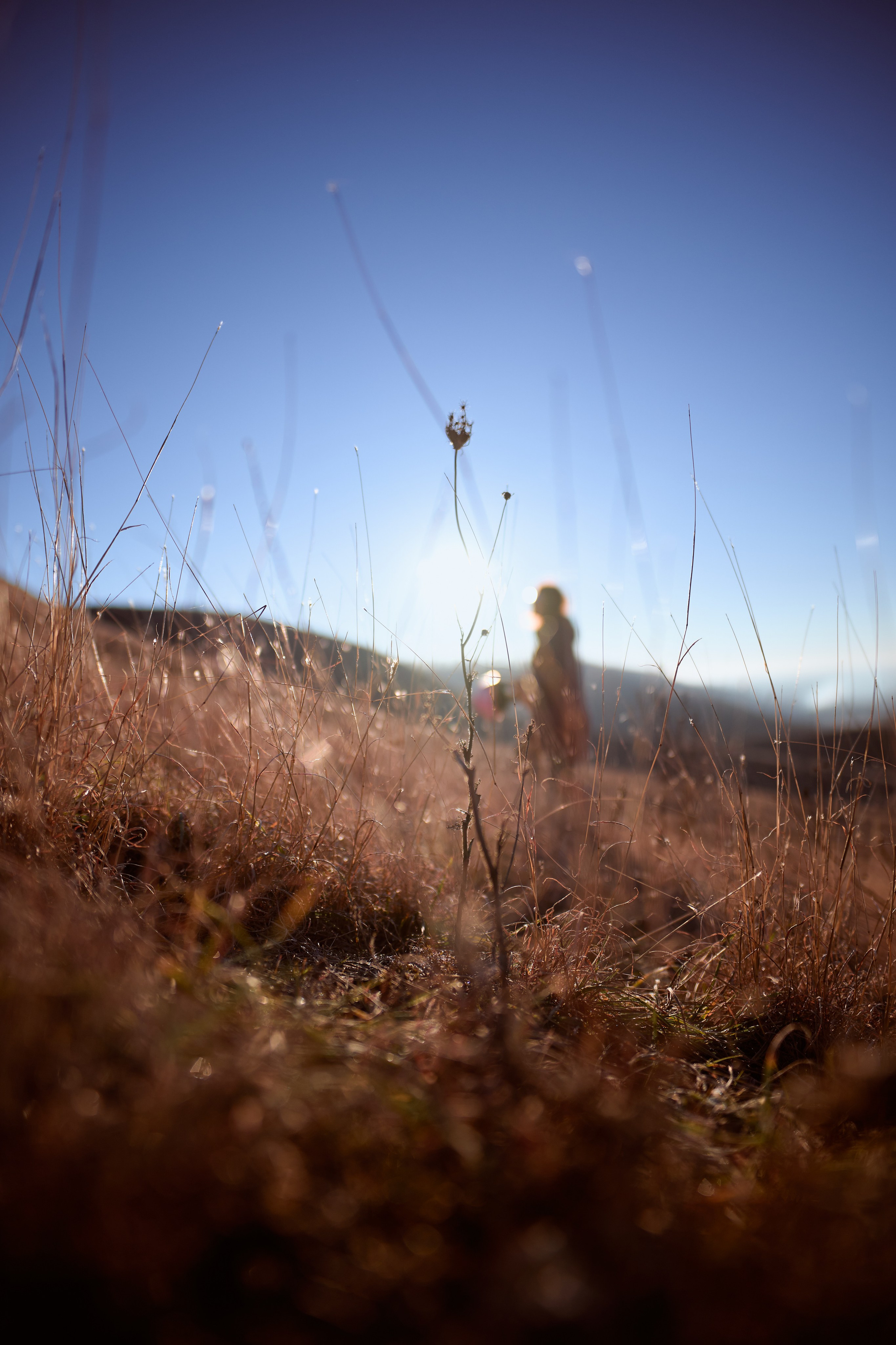 Параплан, Армавир. Репортажный фотограф в Краснодаре, Иван Ванюшенков