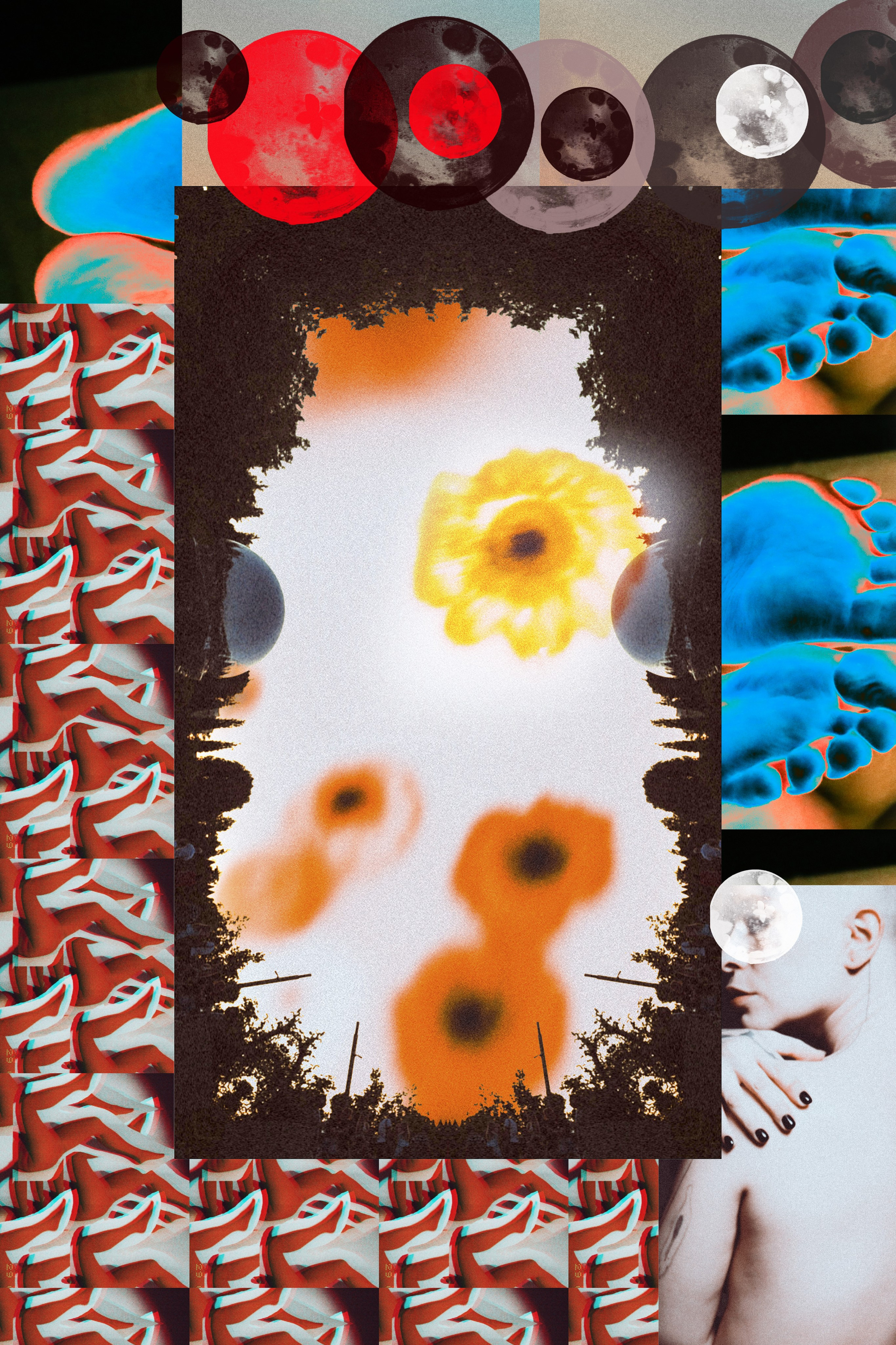 Принты. Картины и принты для дома и оффиса. Дизайн помещений. Уют в доме.Искусство в каждый дом.Фотограф Художник Паханьян Александра