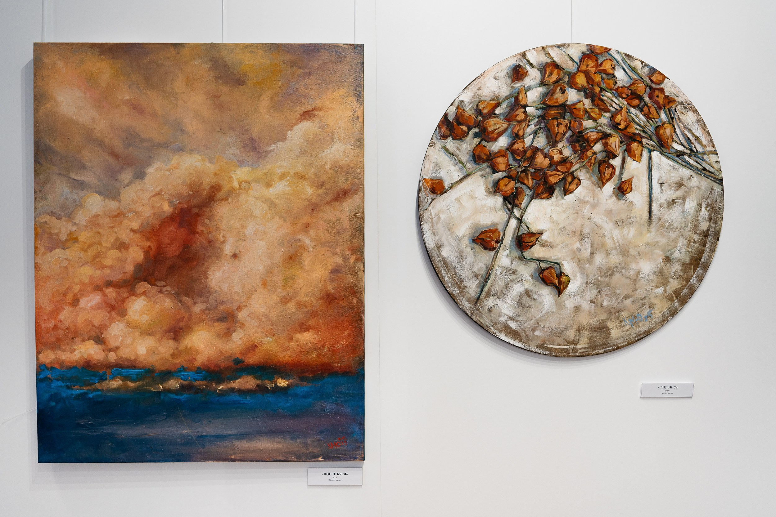 Открытие персональной выставки художника Марии Кулиной-Черкашиной «Возвращение в детство (пойдём, что покажу…)». Свадебный и репортажный фотограф Юров Дмитрий