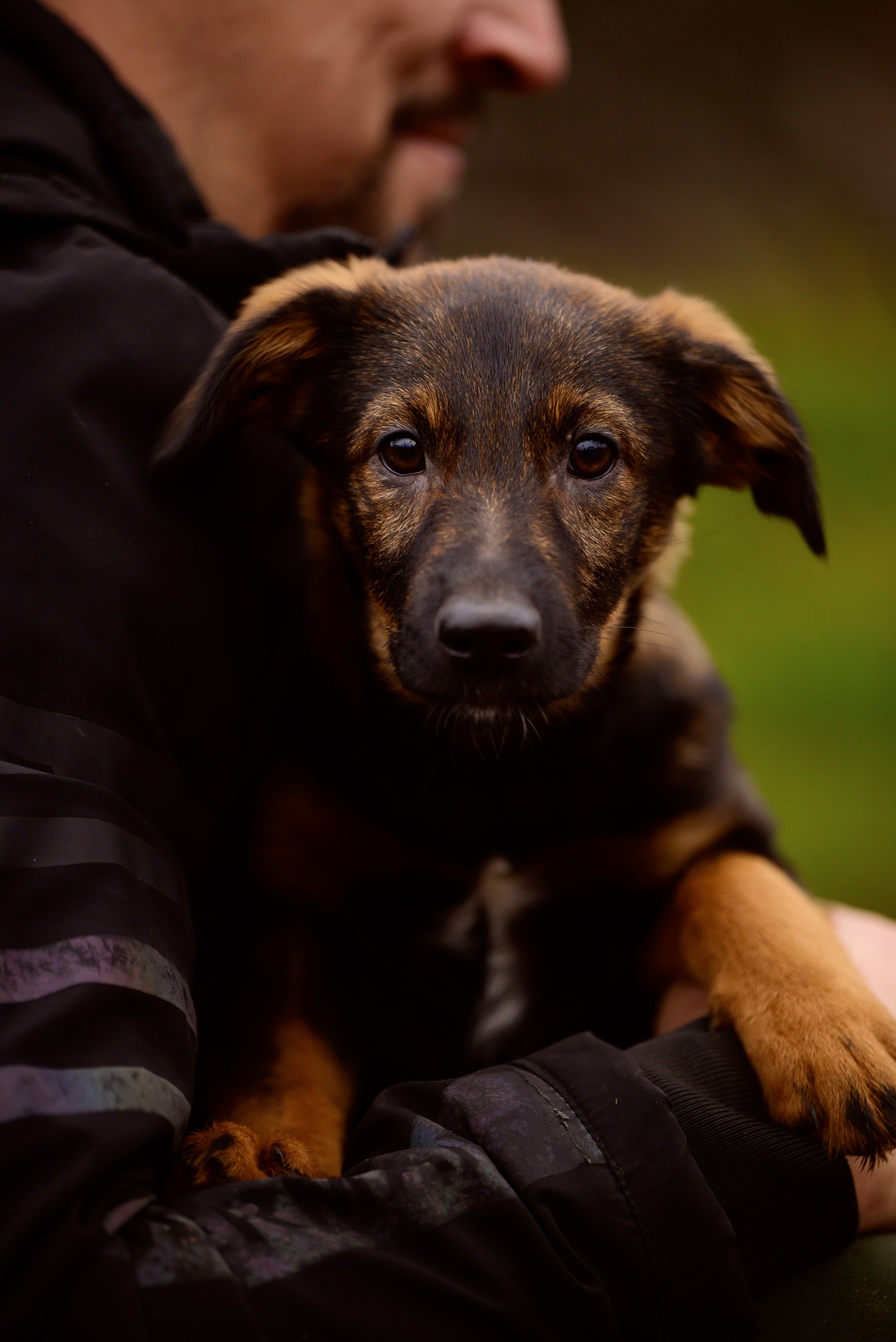 Круассанчики. Мила Астахова