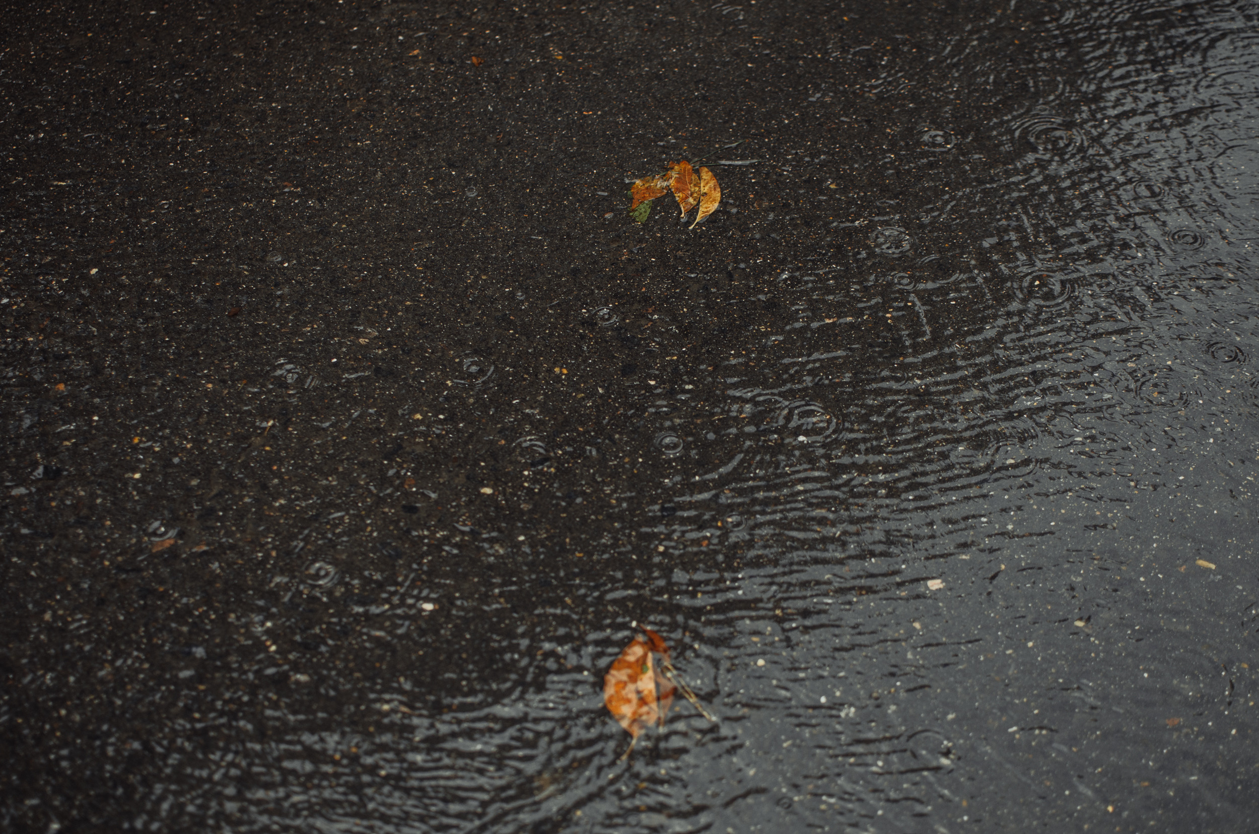 R&M. Ян Эйк — Портретный и Репортажный фотограф