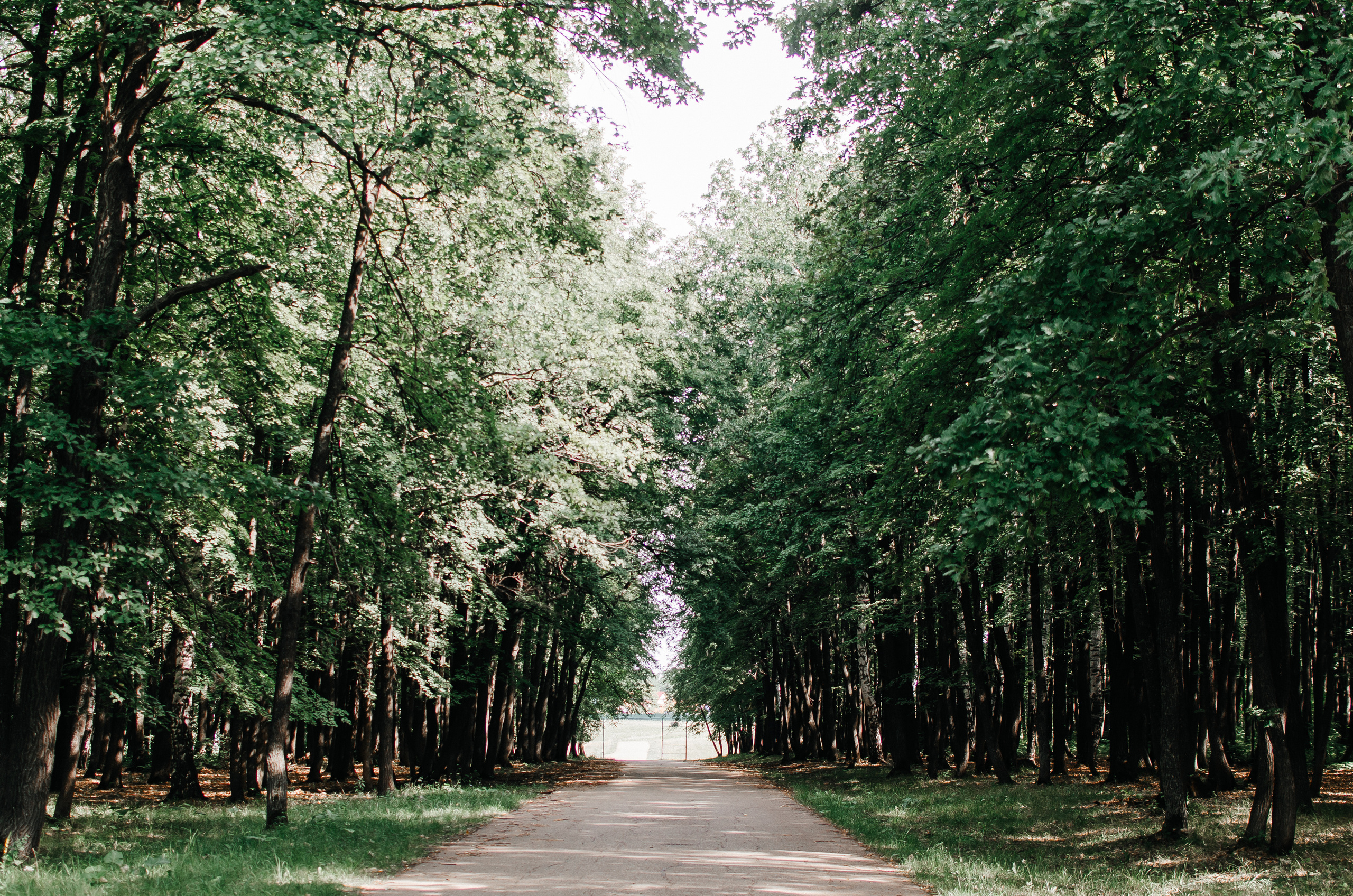 Zona696 (backstage). Ян Эйк — Портретный и Репортажный фотограф