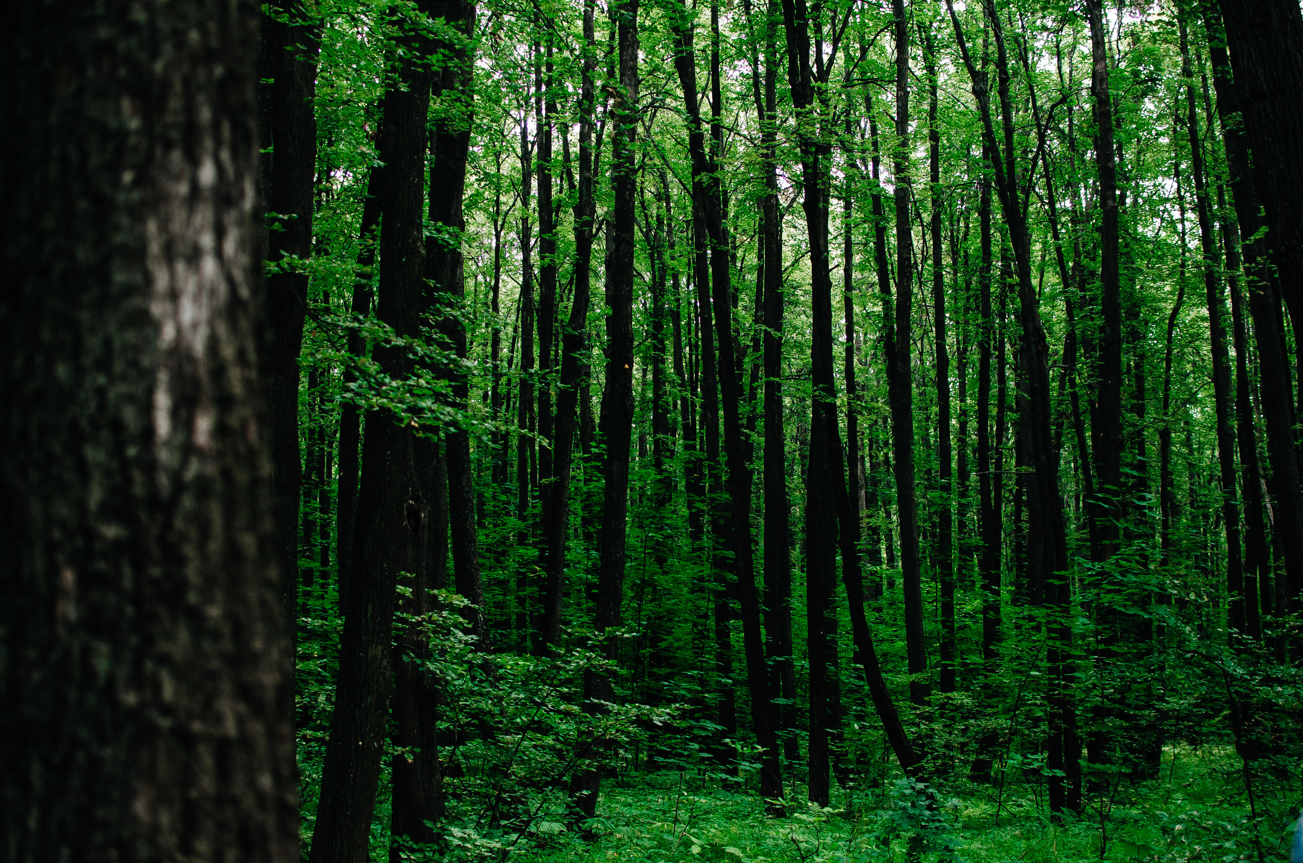 Zona696 (backstage). Ян Эйк — Портретный и Репортажный фотограф