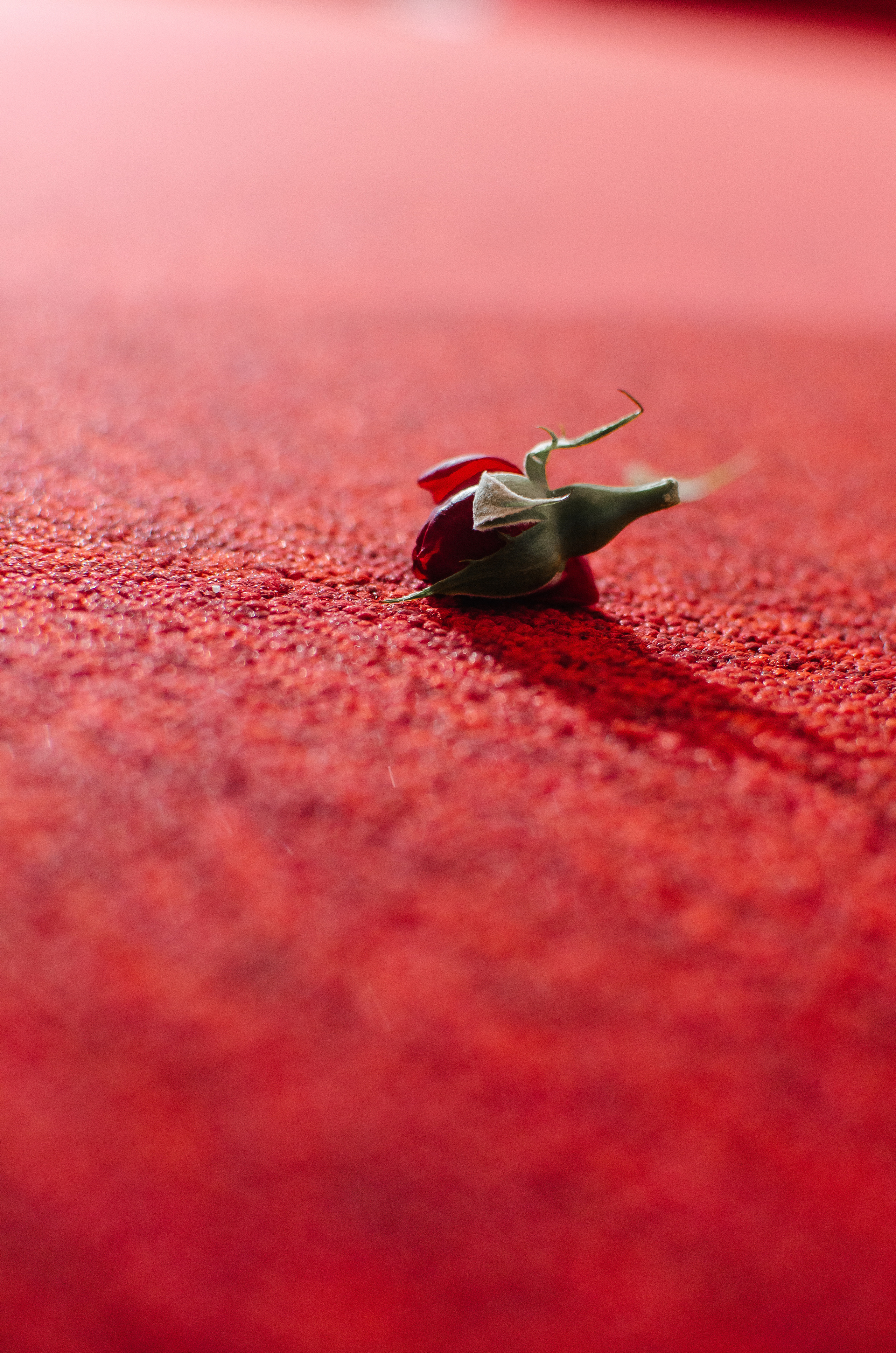 M&K. Ян Эйк — Портретный и Репортажный фотограф