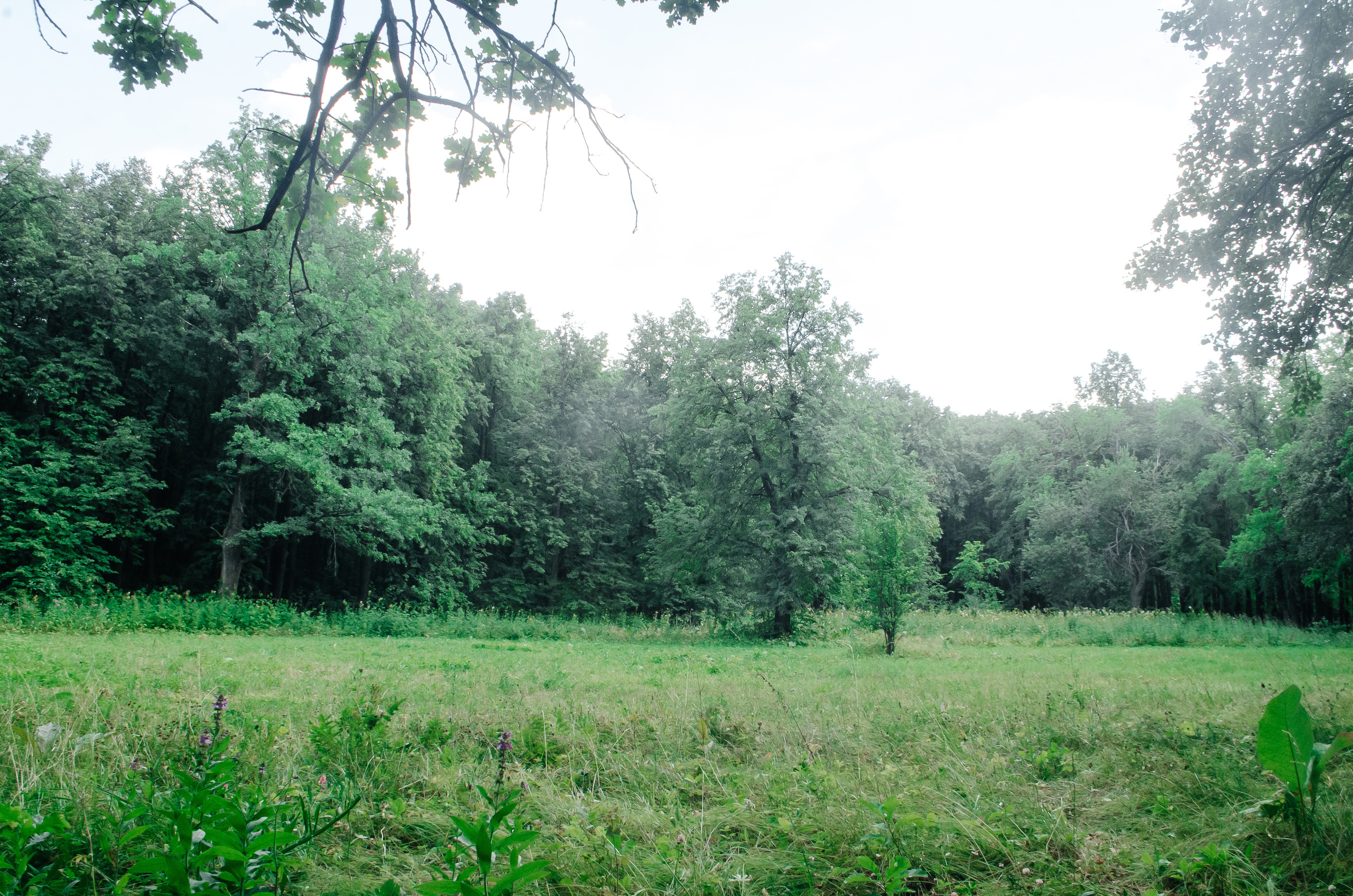 Zona696 (backstage). Ян Эйк — Портретный и Репортажный фотограф