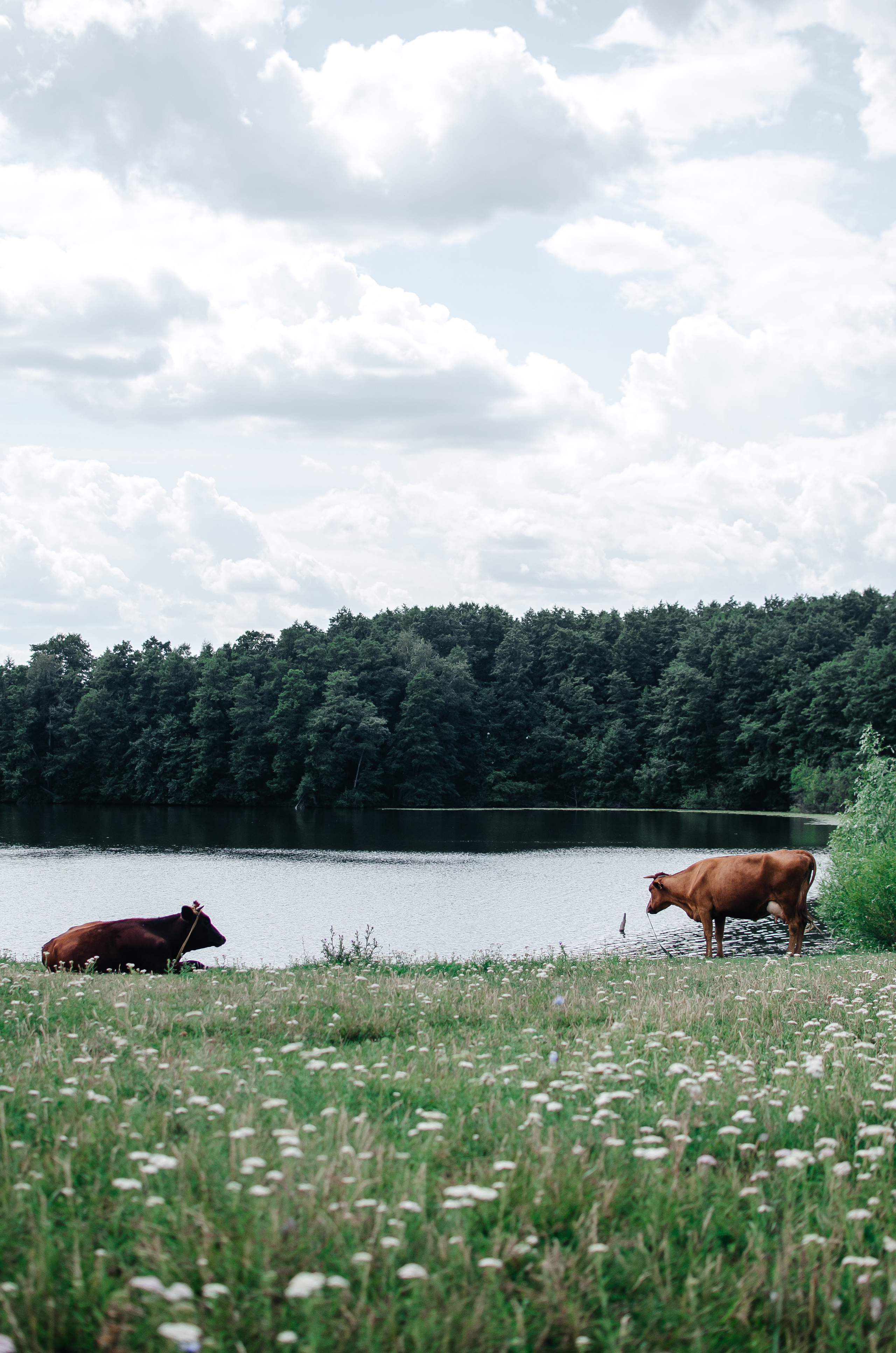 Zona696 (backstage). Ян Эйк — Портретный и Репортажный фотограф