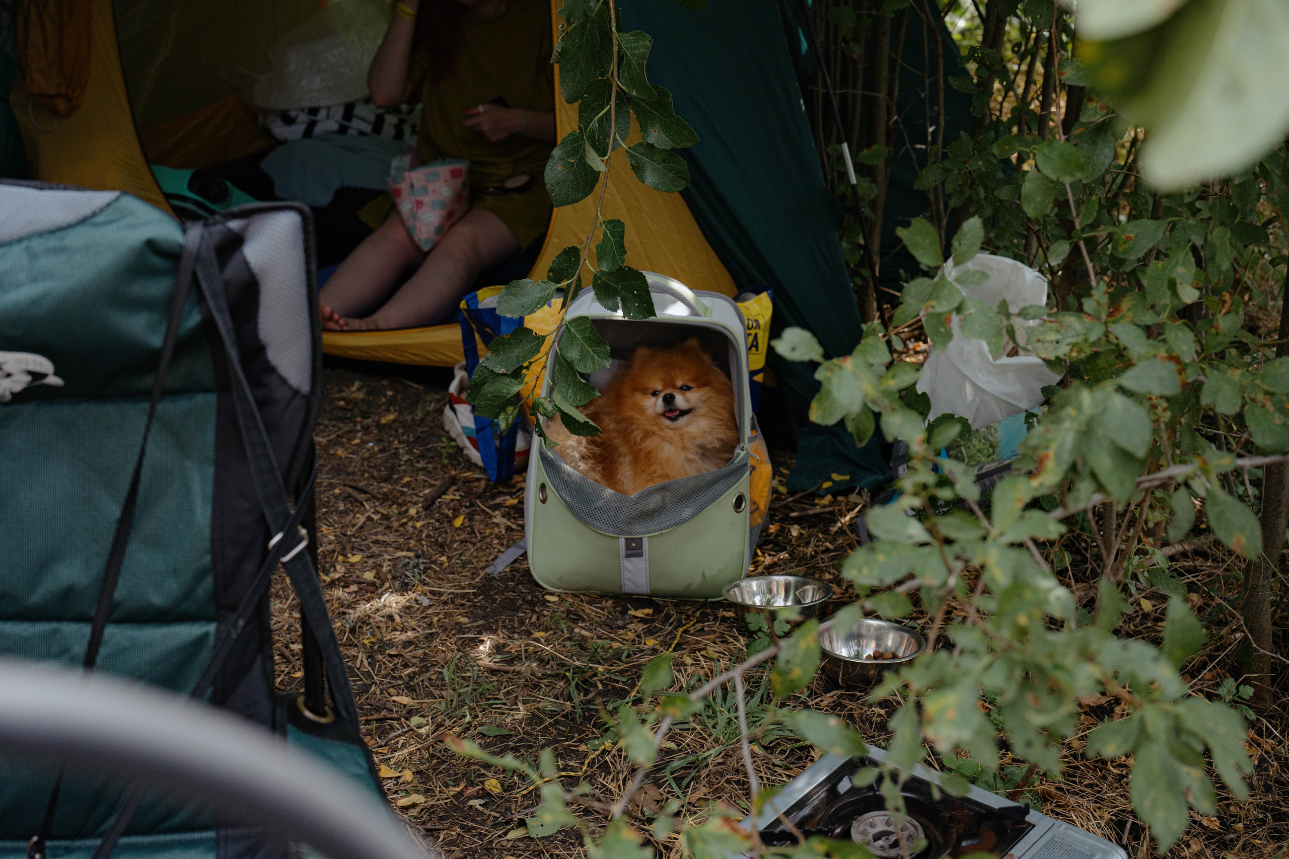 ASS FAMILY | СОН В ДЕРЕВНЕ | АВИАРЕЖИМ 8.0