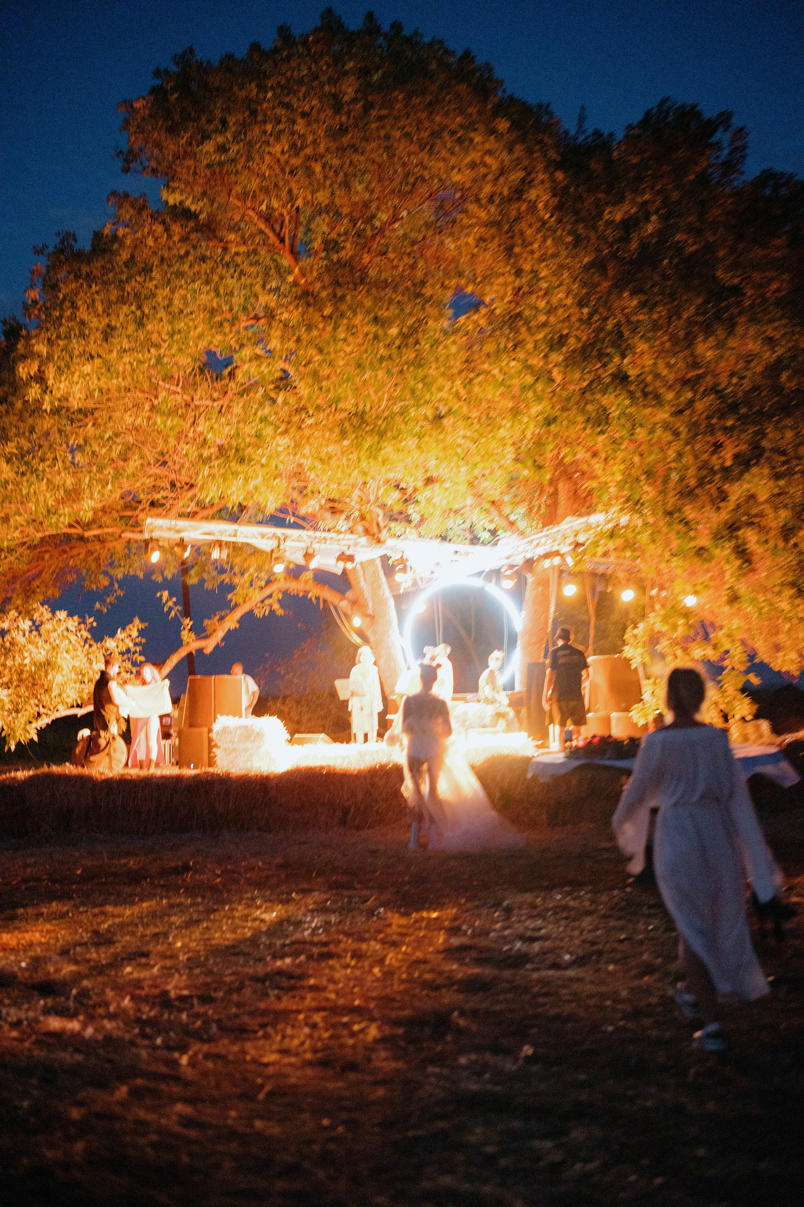 ASS FAMILY | СОН В ДЕРЕВНЕ | АВИАРЕЖИМ 8.0