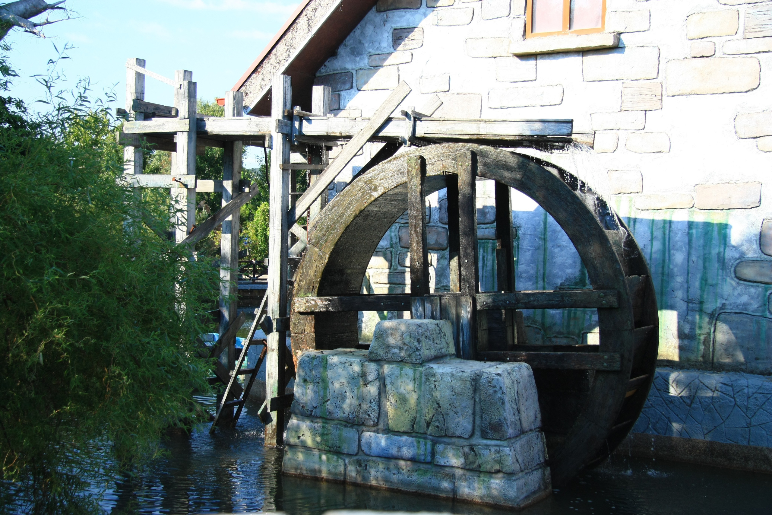 Первые кадры. Сочи — парк. Фотограф Роман Адлер