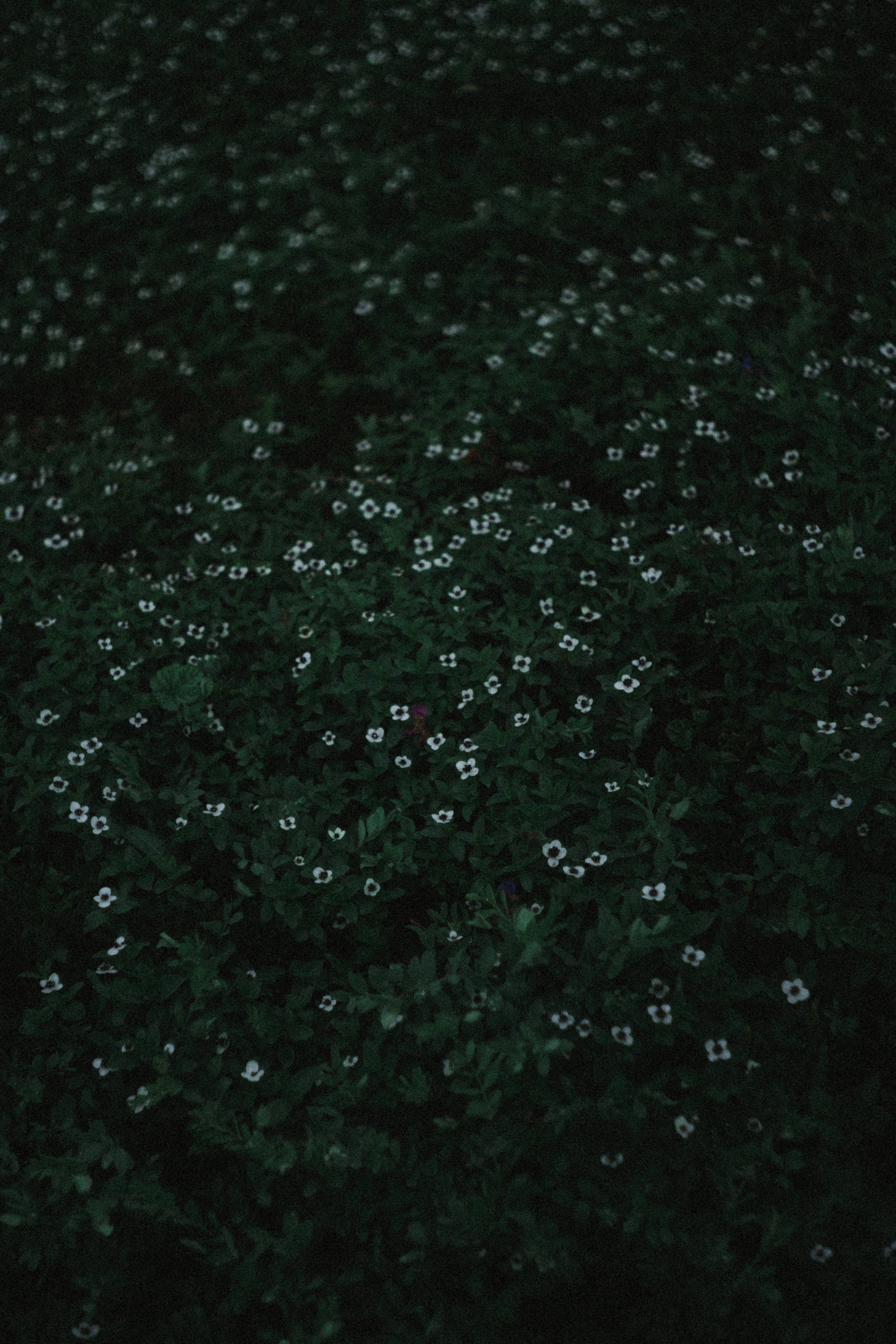 Териберка, Мурманск. Фотосъёмка для компании по организации туров в коллаборации с Яндекс 360