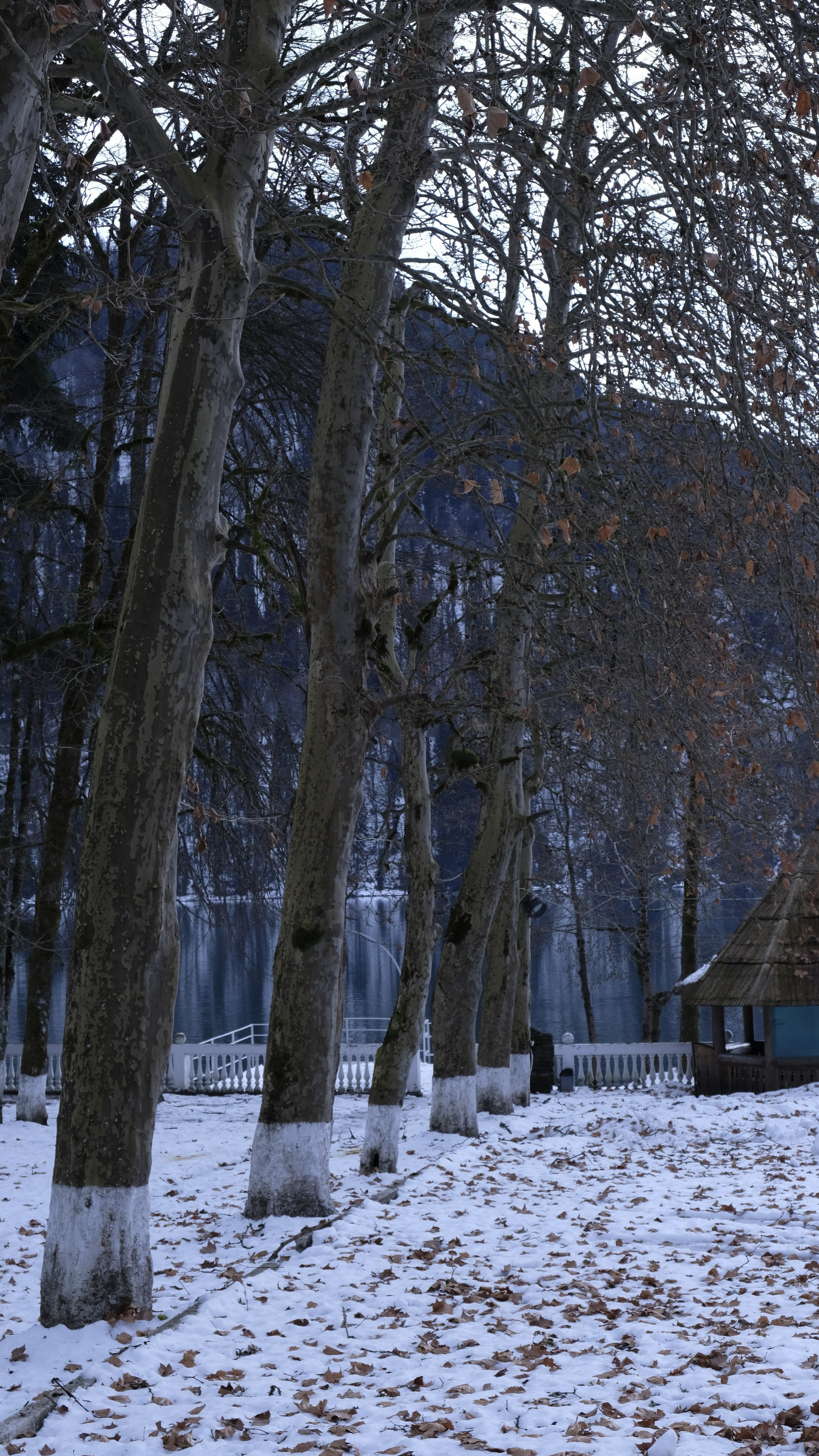 Сталинская дача на Рице зимой. Главная