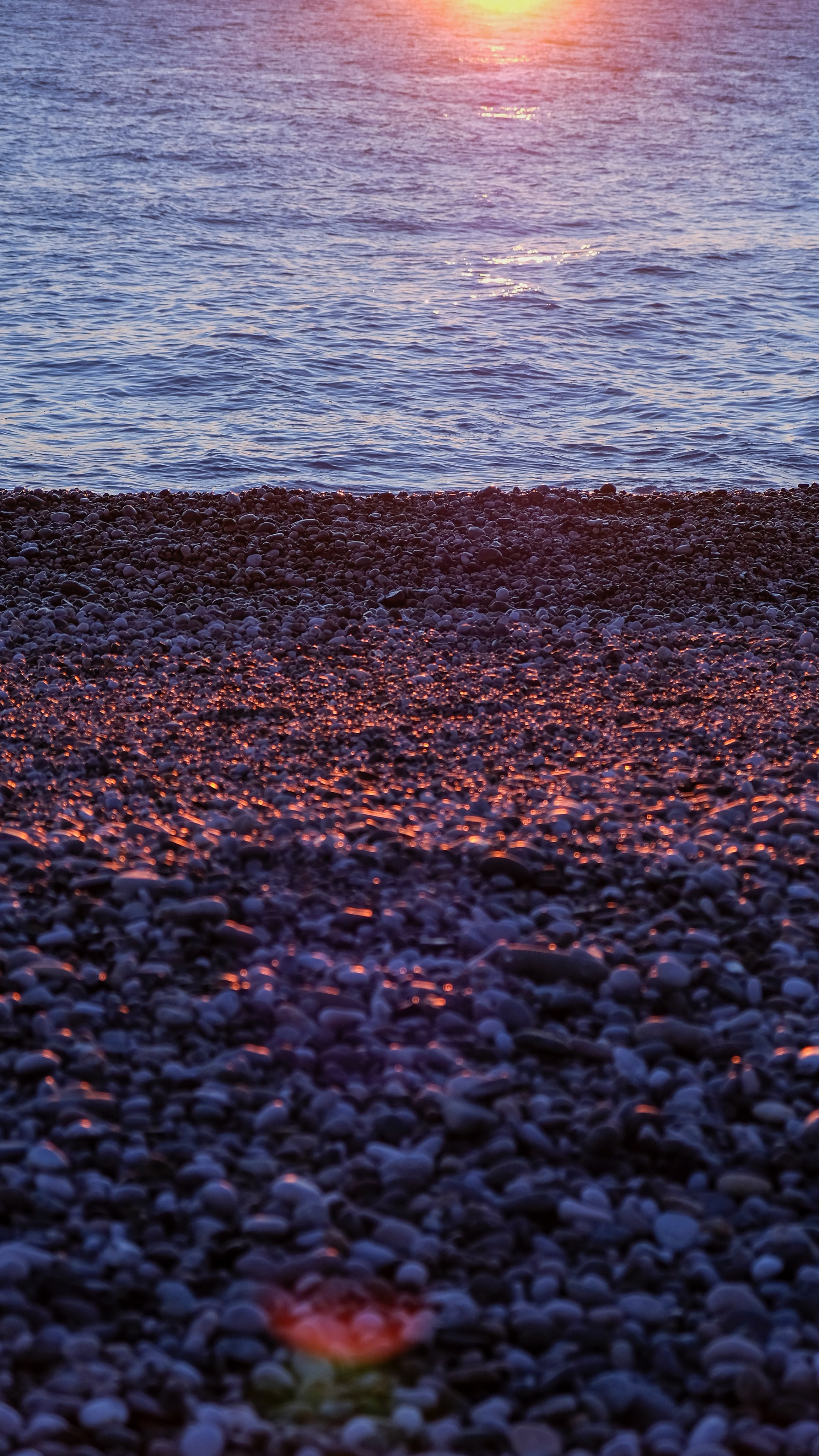 Пицунда. Главная