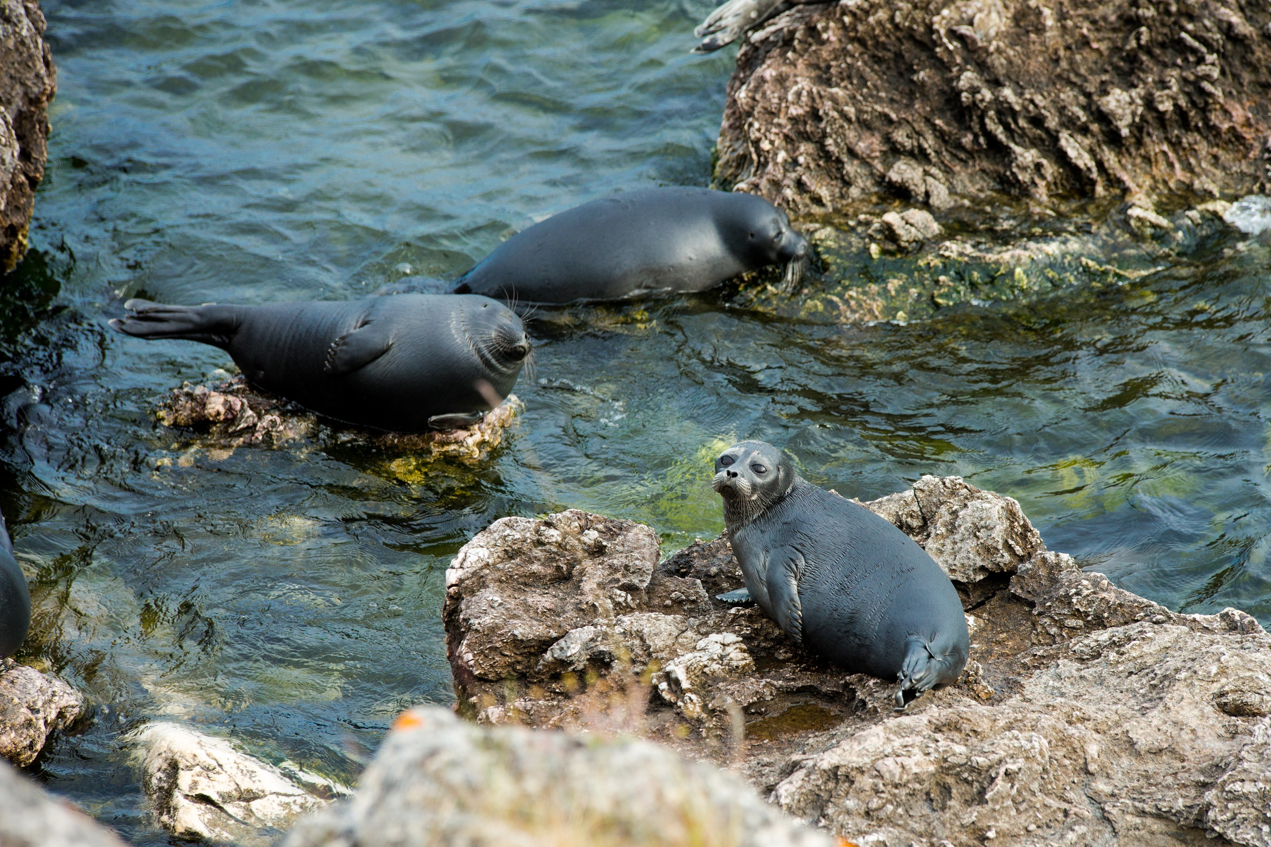 Фотографии озера Байкал. Петр Ступень. Свадебное, семейное фото и видео. Москва. Краснодар