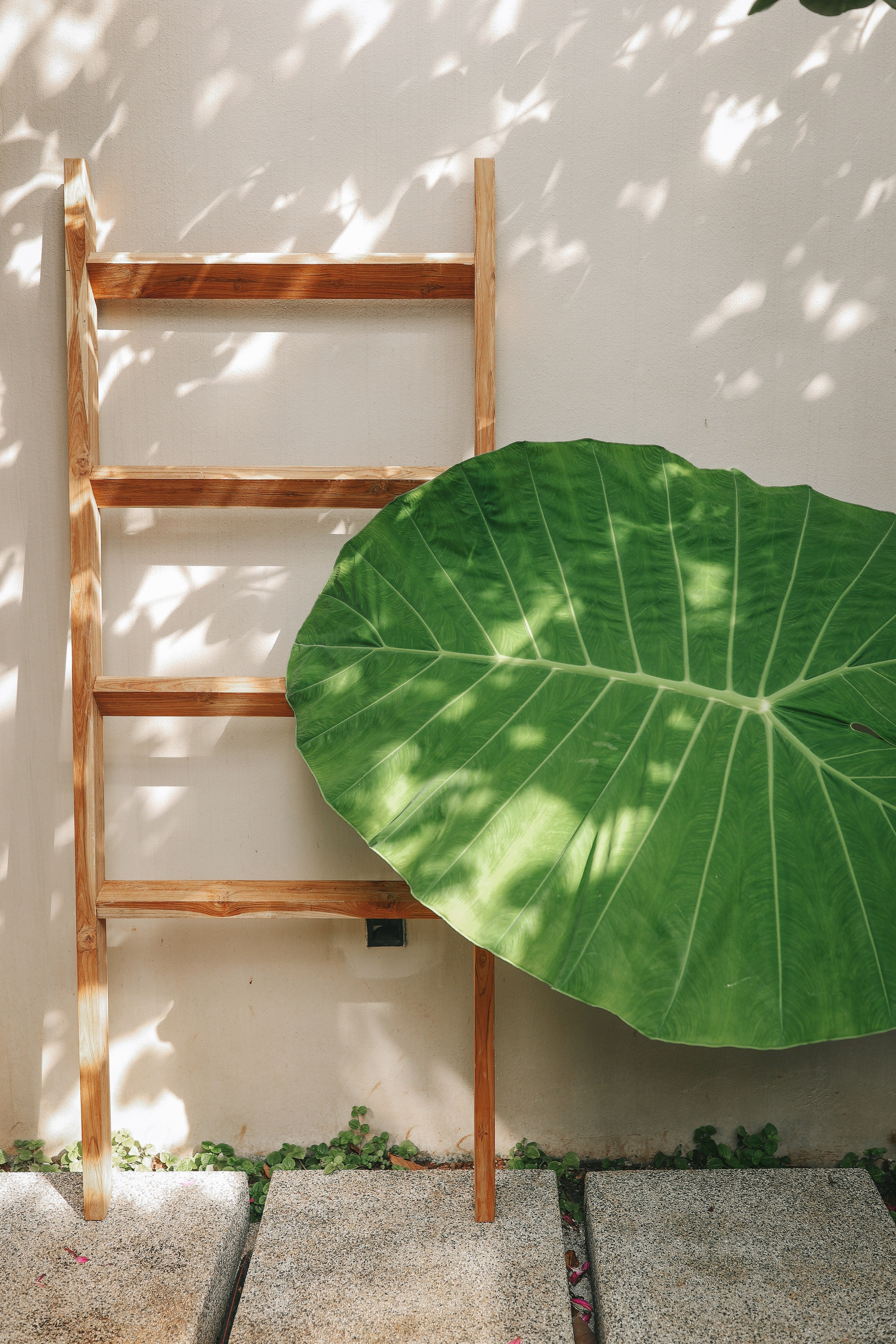 Anawa Krabi. Ekaterina Buneeva Photography