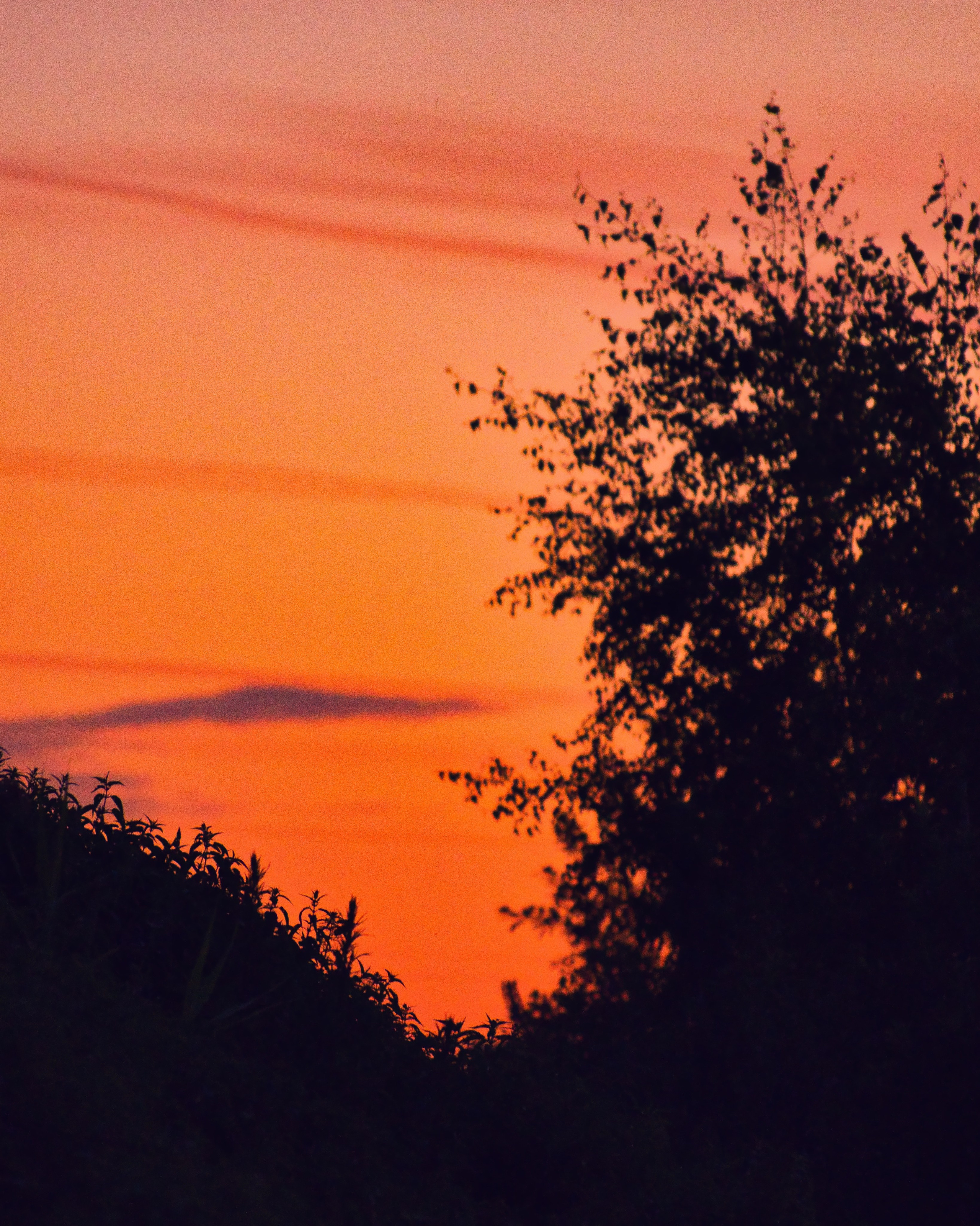 Стрит‑фото: жизнь города в кадре — реальные моменты. FM Media Сrew. Репортажные фото и видео