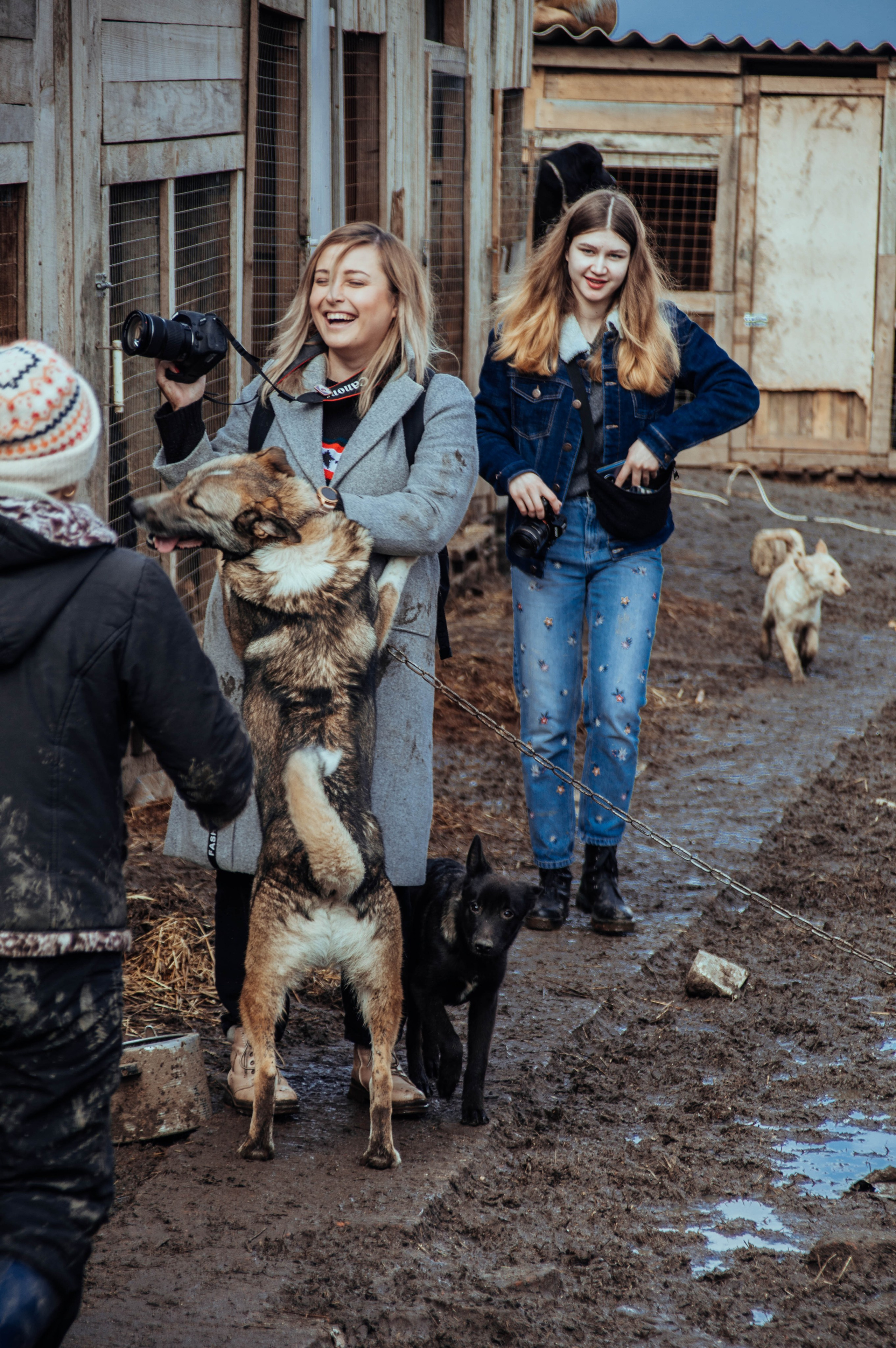 Приют «Дом Добра». Индивидуальный фотограф в Москве