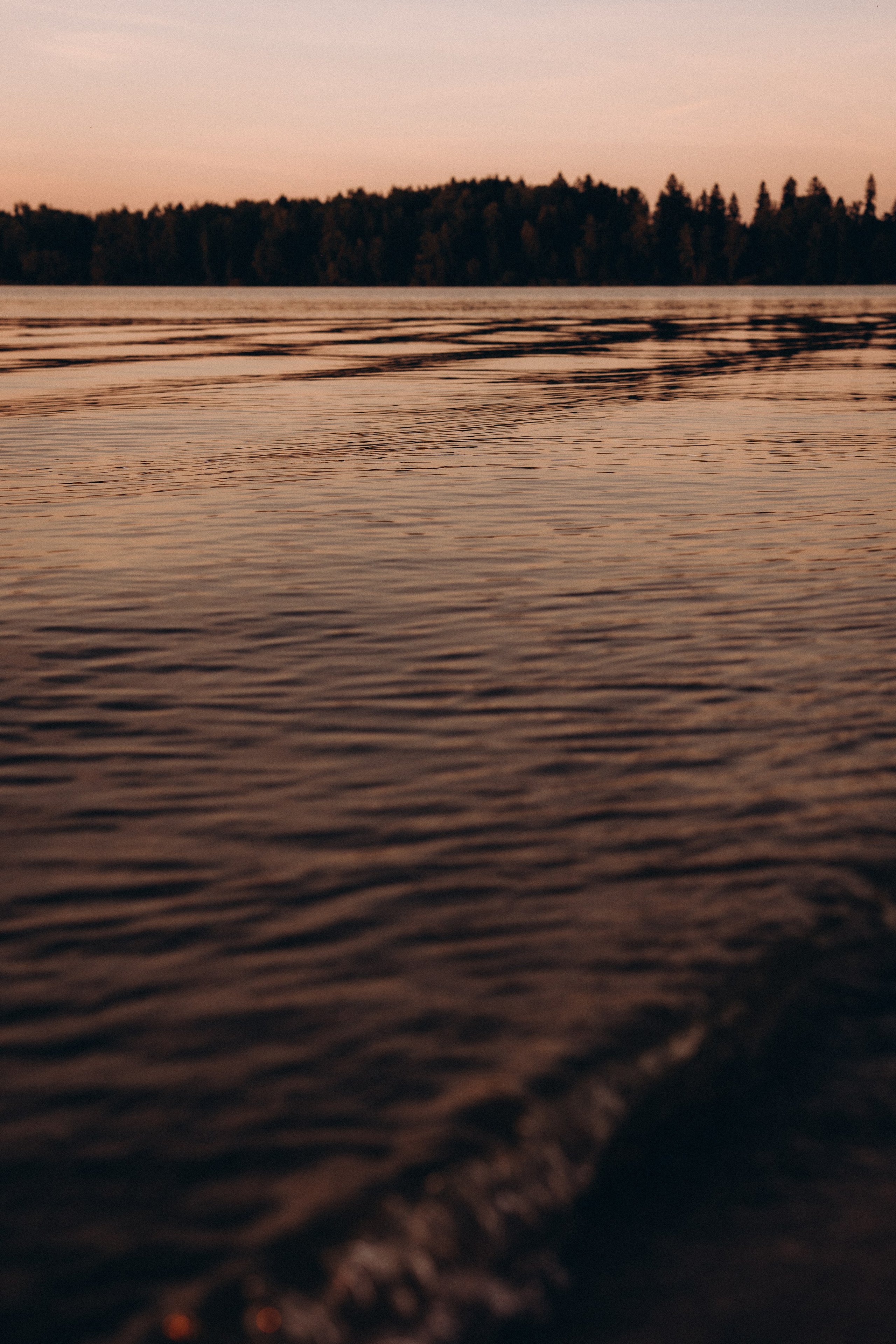 Мама сыновей. Евгения Пелипас