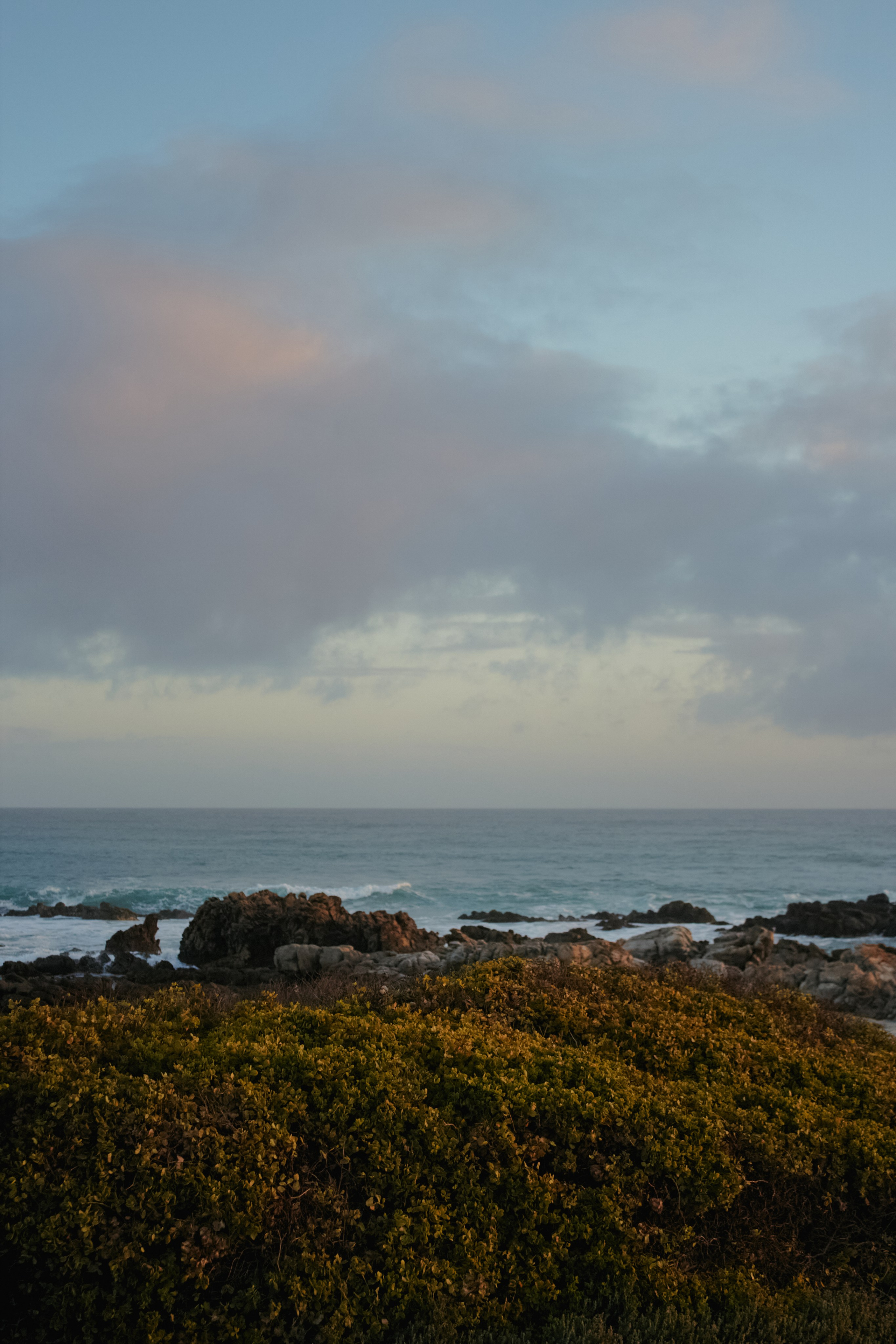 ЮАР. Профессиональный Фотограф во Владимире, в Москве и в Суздале — Полина Романычева