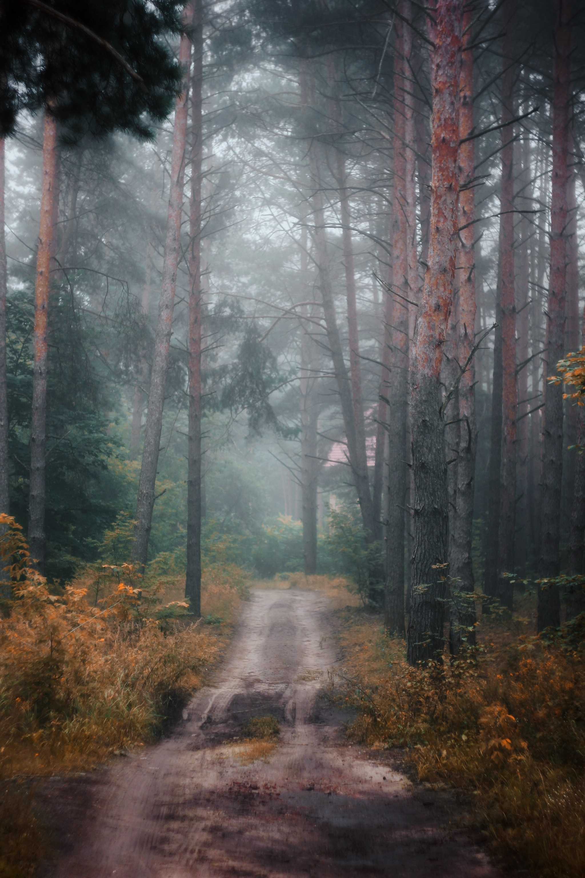 Меланхолия августа. С любовью, фотохудожник