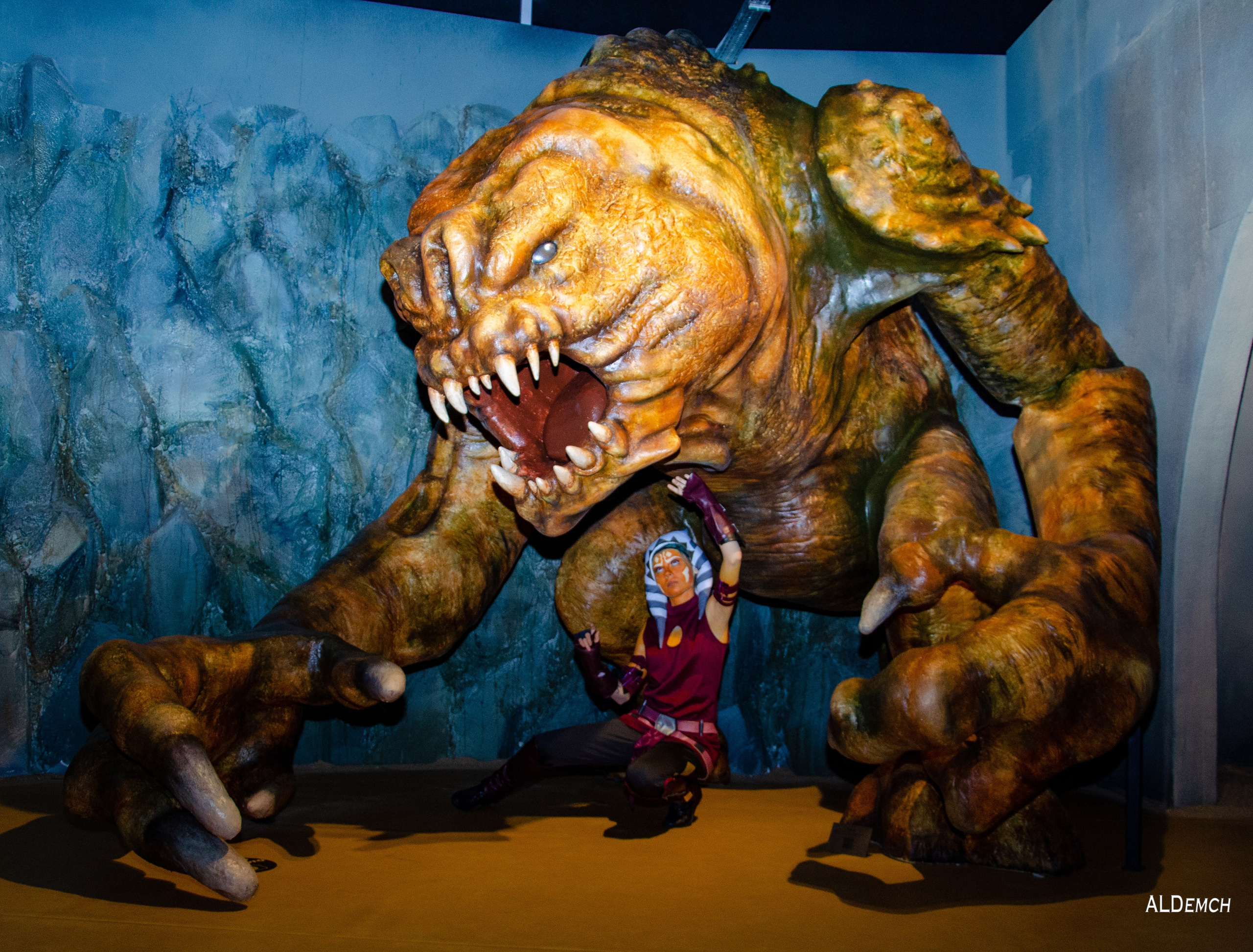 Звёздные войны картинки персонажей и косплей фото в Москве