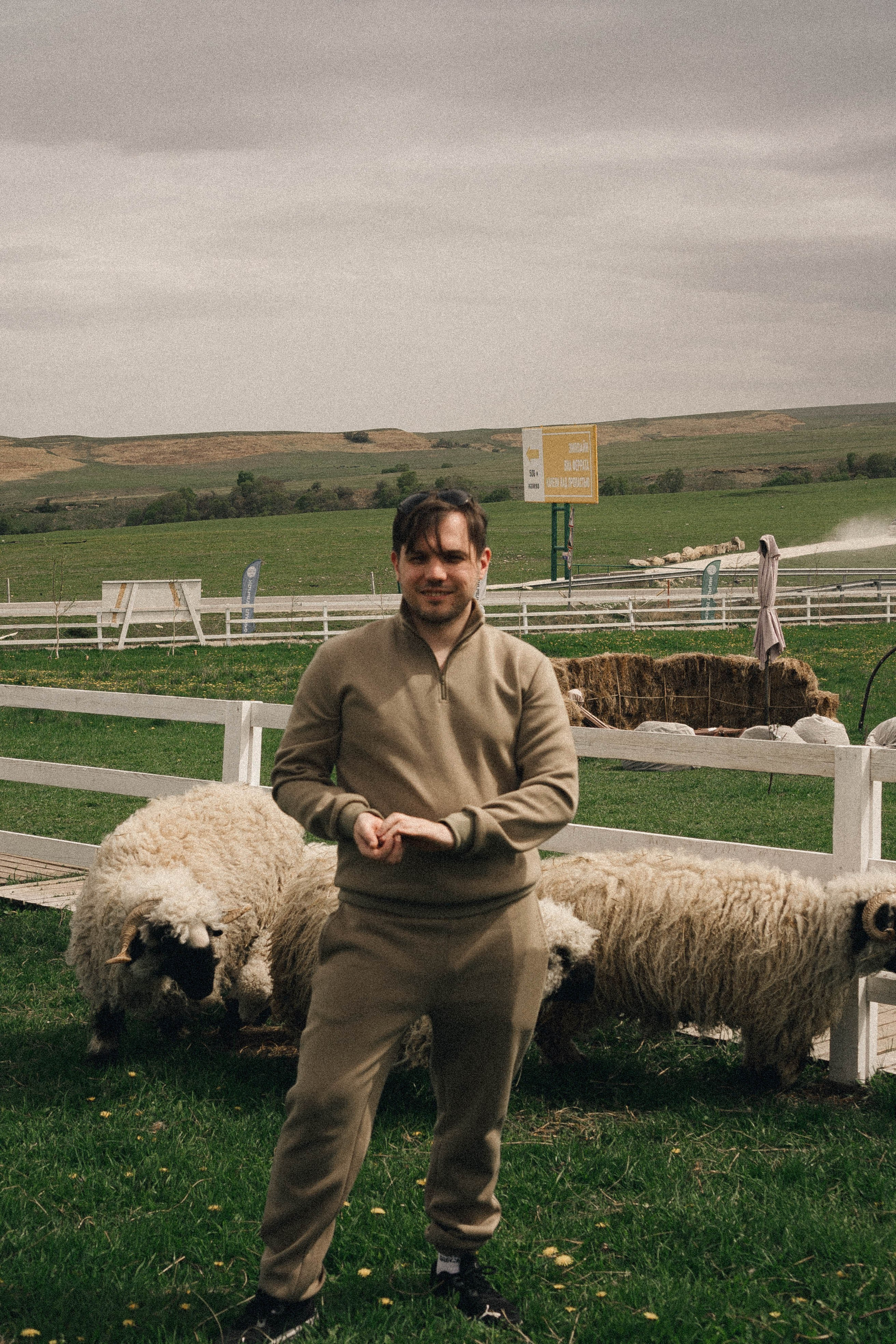 Ферма Альпак. Профессиональный фотограф, Санкт-Петербург — Виктория Богомолова