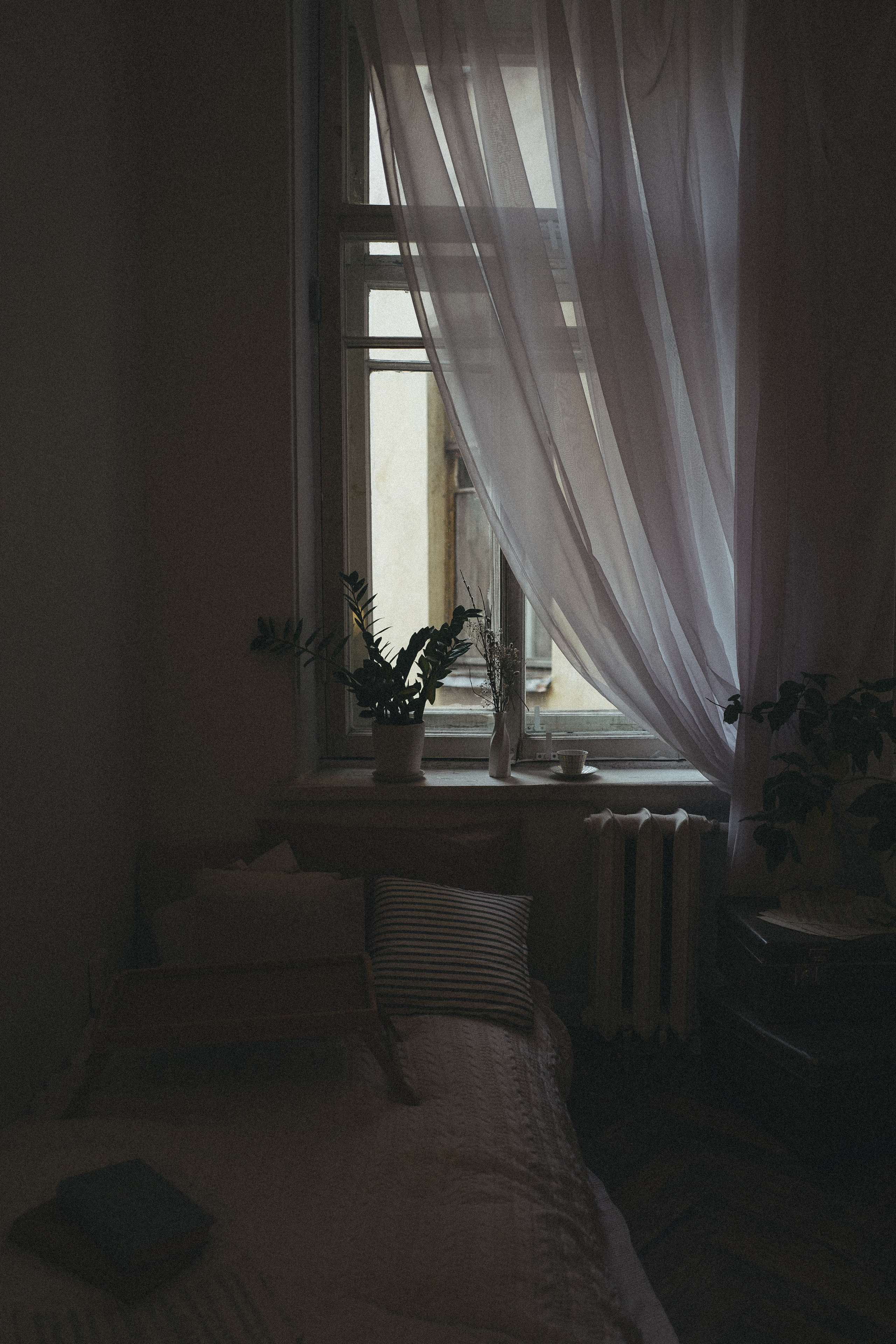 Saint Petersburg/2023. <3