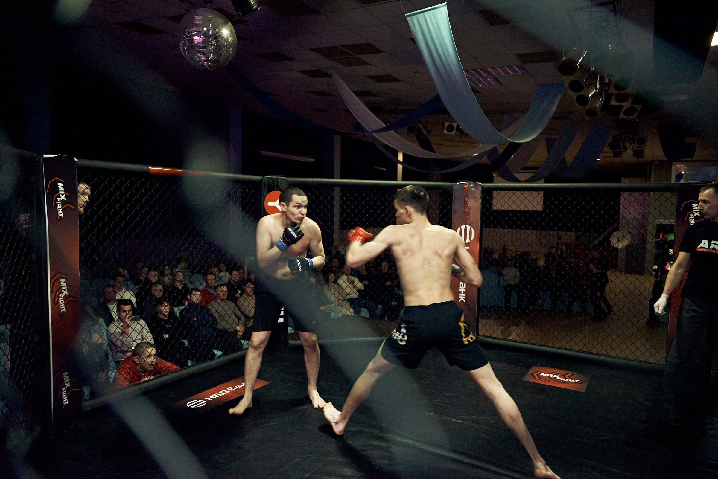 Бои. Маляревич Дмитрий свадебный фотограф