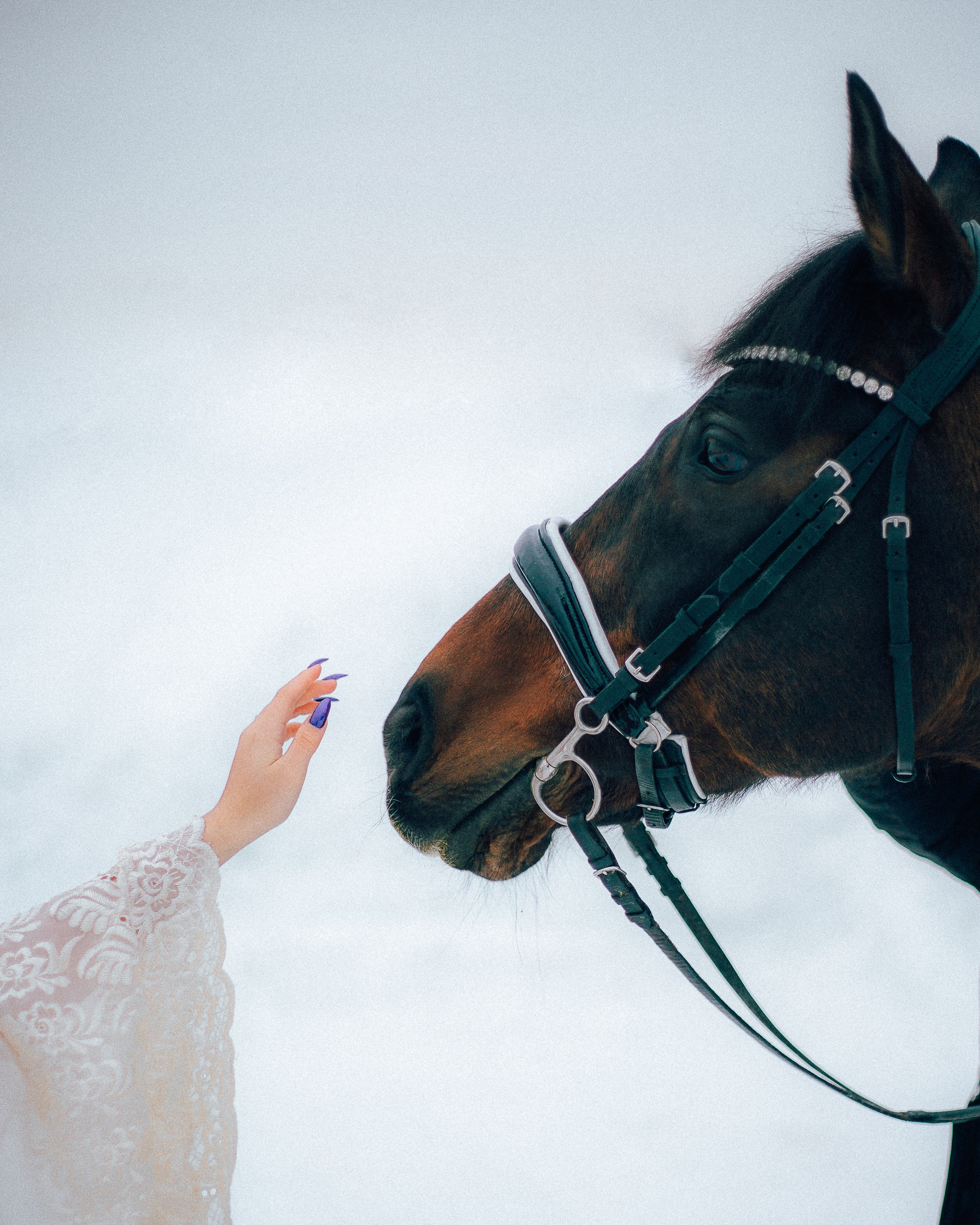 Аня. Юлия Кулиш // Pocahontas