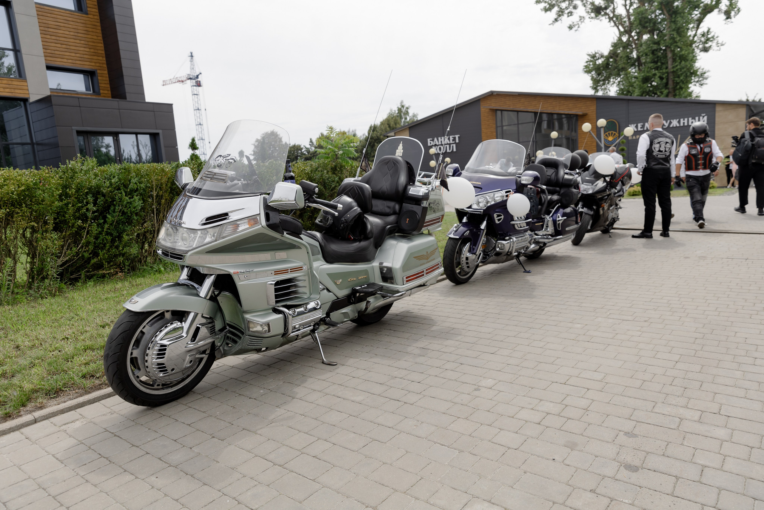 Аня и Игорь. Dima Lemeshevsky