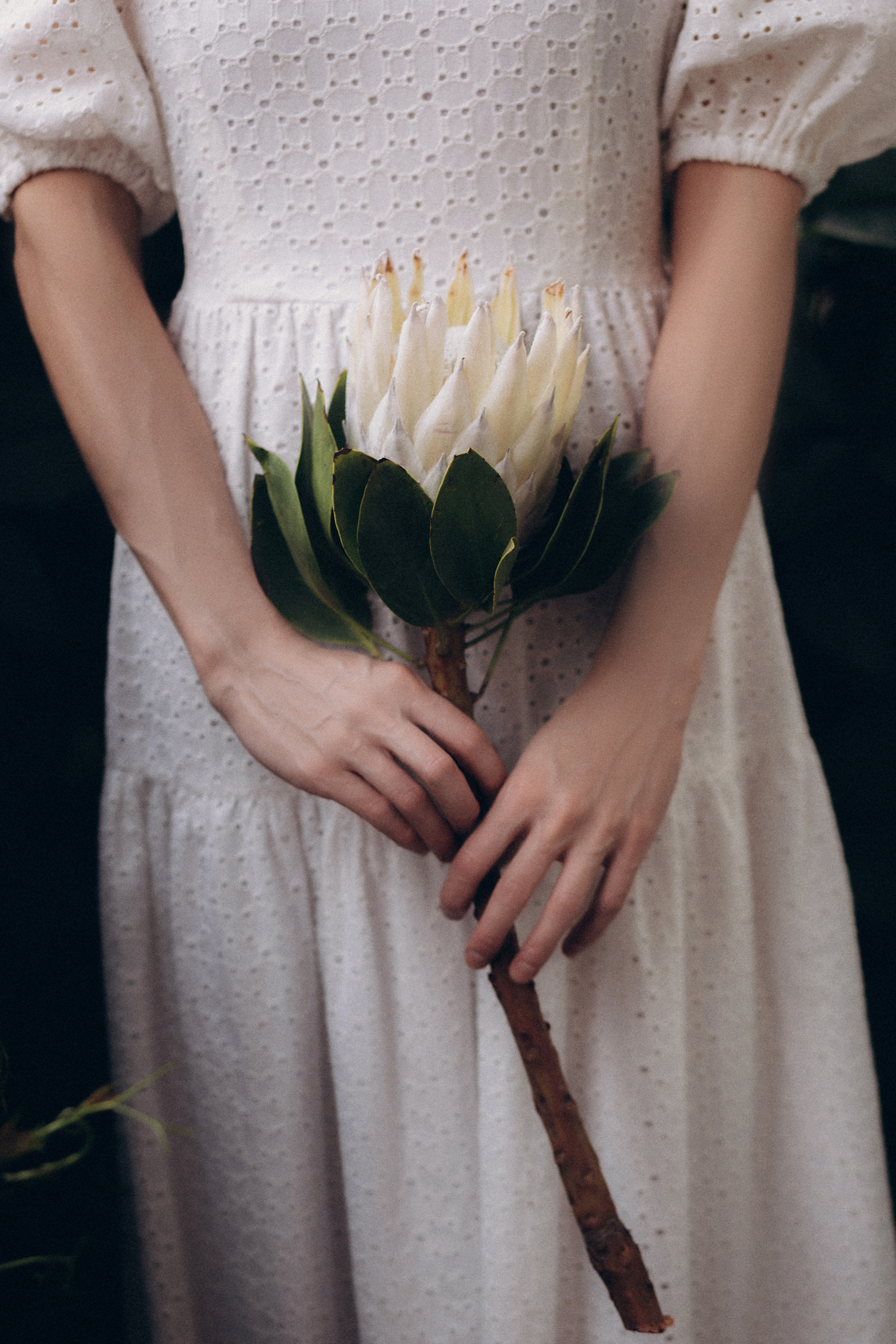 Елена. Свадебный фотограф в Москве и Казани