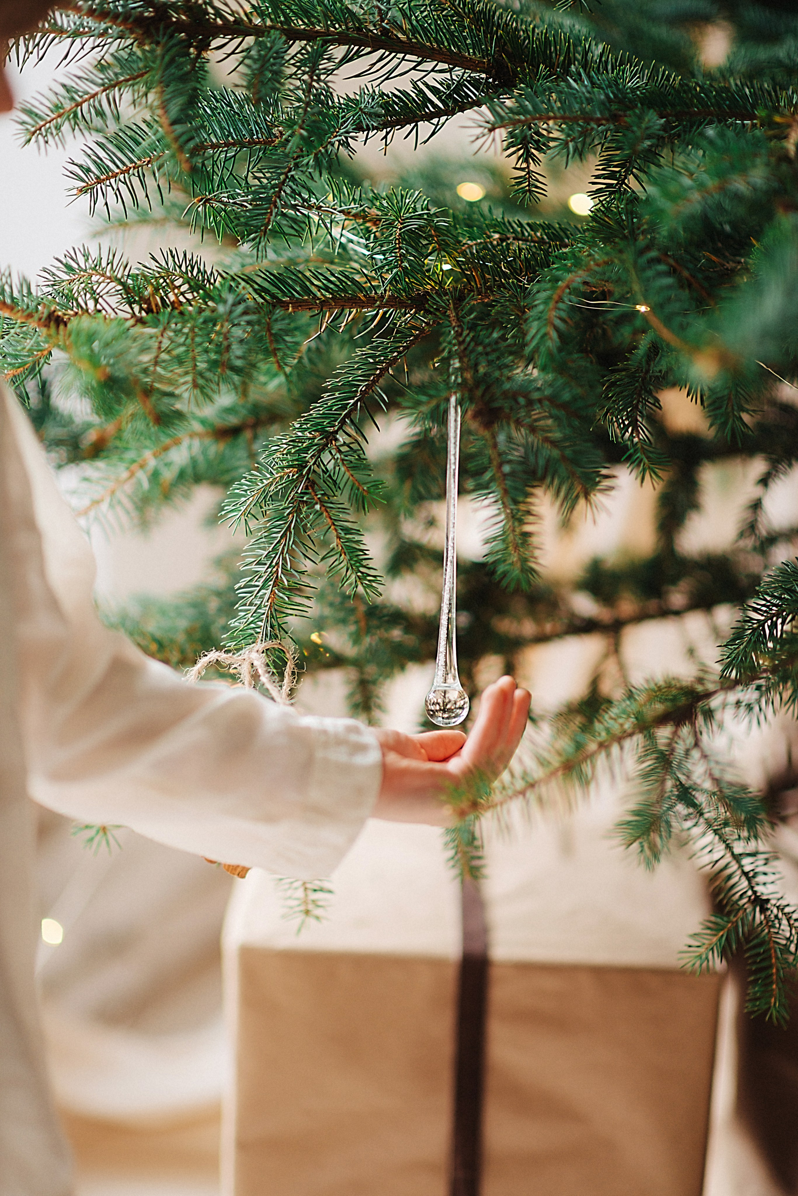 Олеся и Мирон. Свадебный и семейный фотограф в Ростове-на-Дону Дарья Герасименко