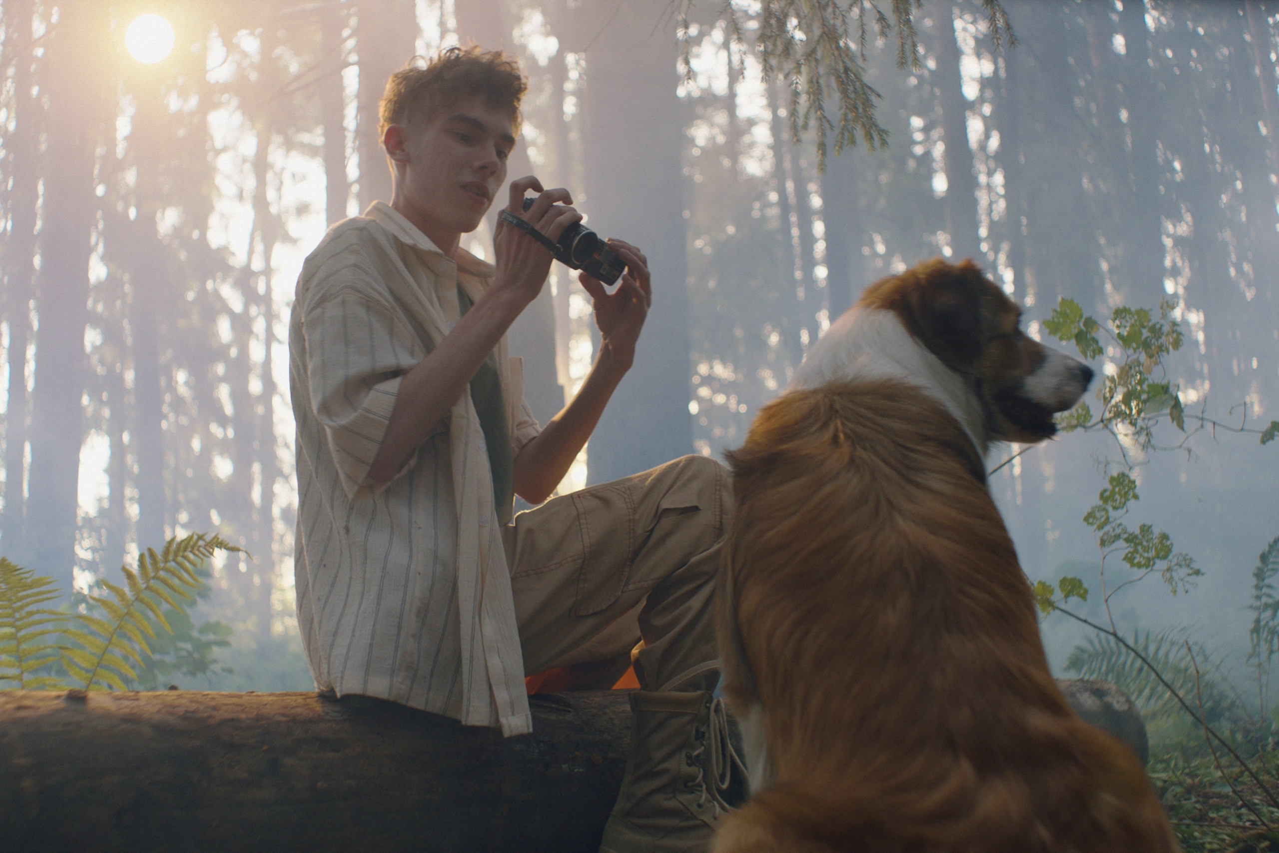 Туман (short film). Colorist Ivan Serzhanov