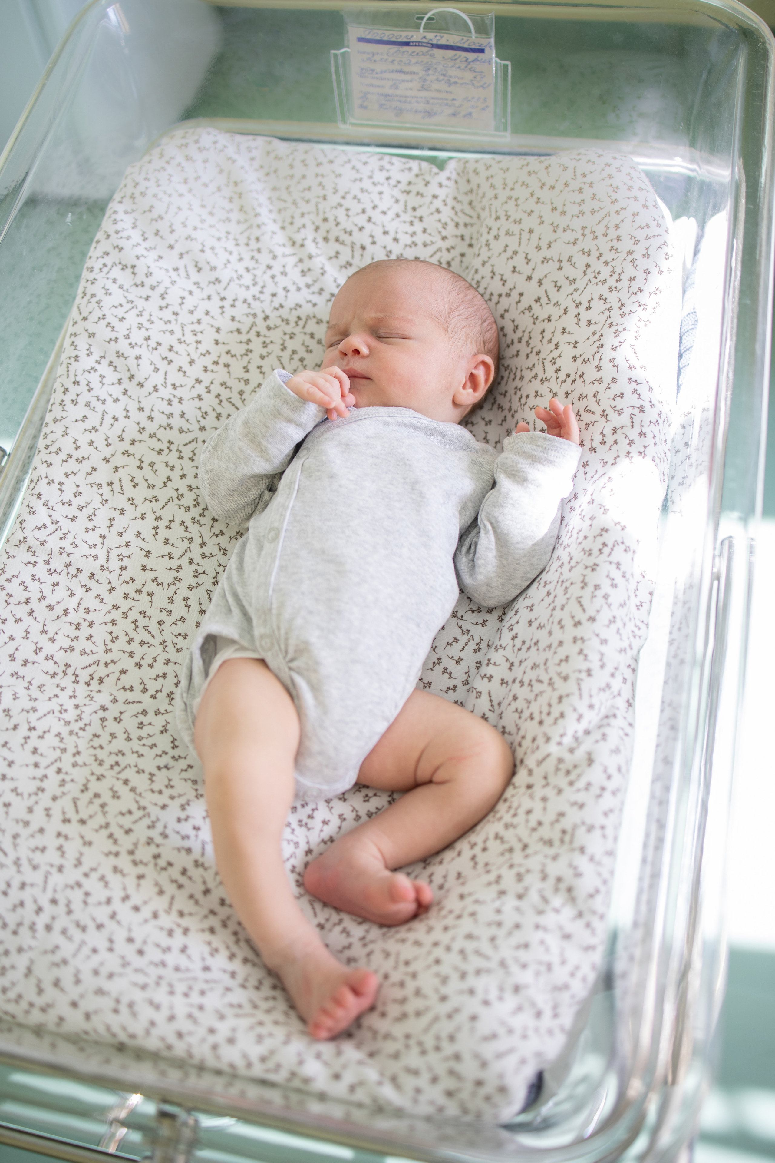 Выписка из роддома | Maternity. Женский и семейный фотограф Светлана