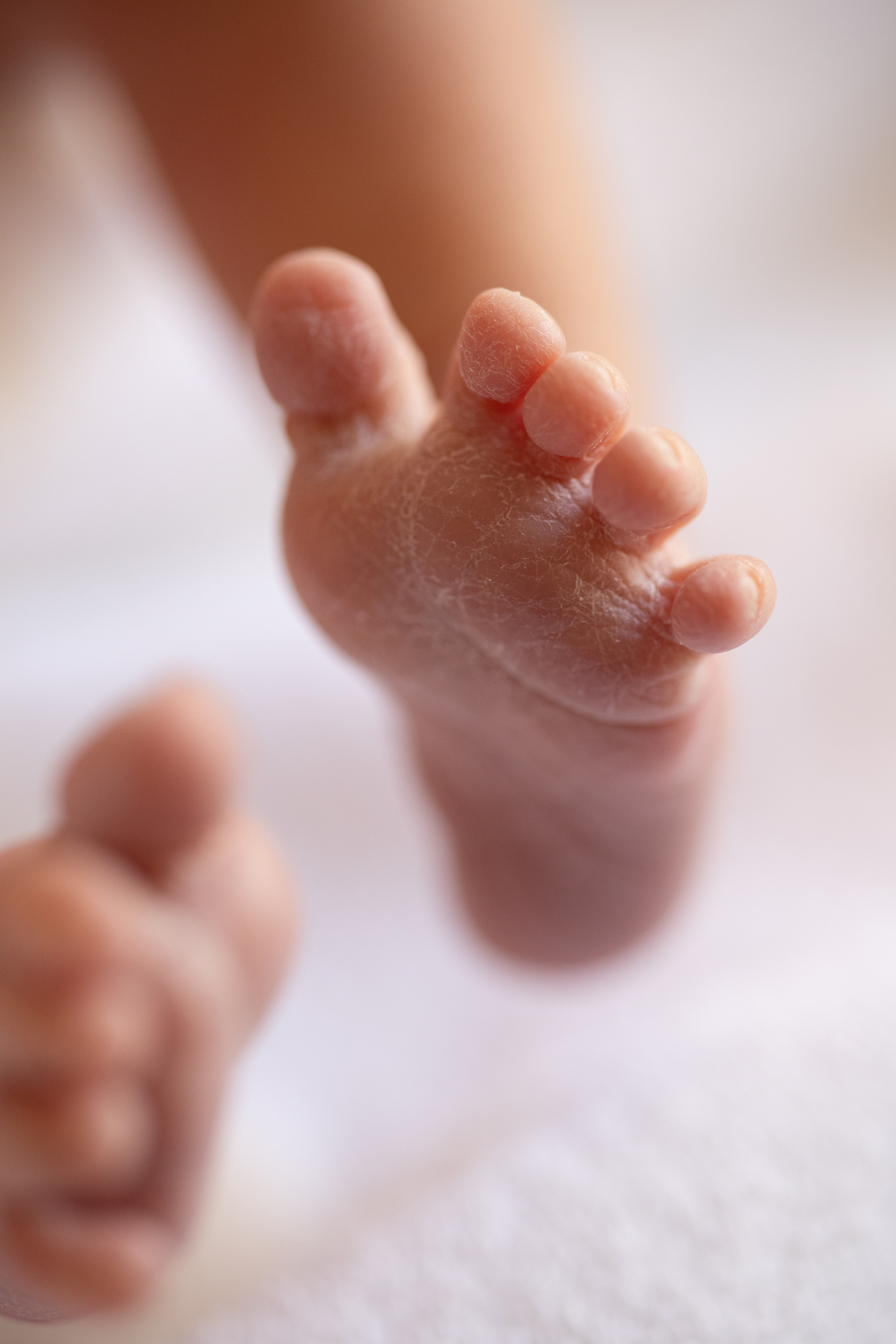 Выписка из роддома | Maternity. Женский и семейный фотограф Светлана