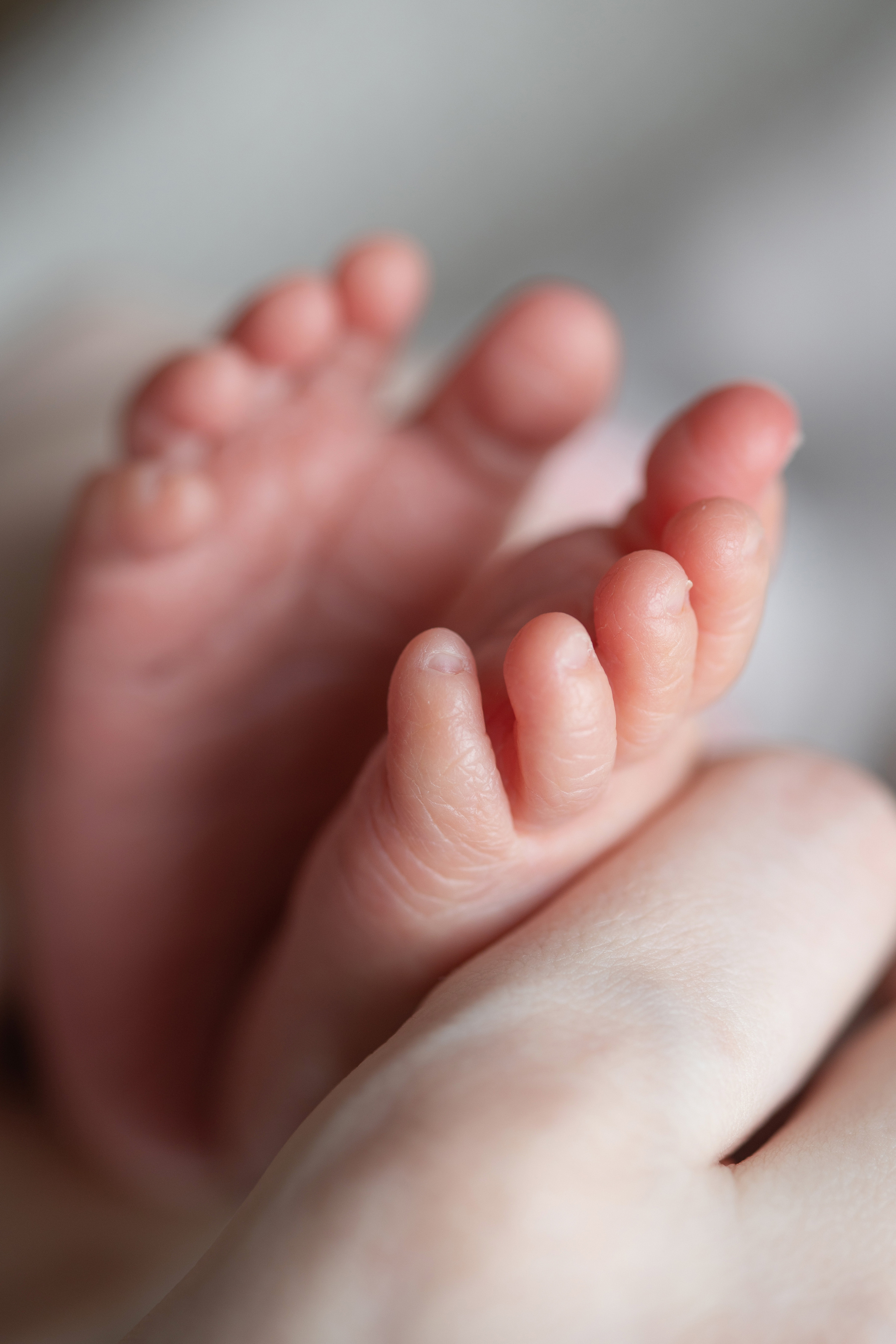 Выписка из роддома | Maternity. Женский и семейный фотограф Светлана