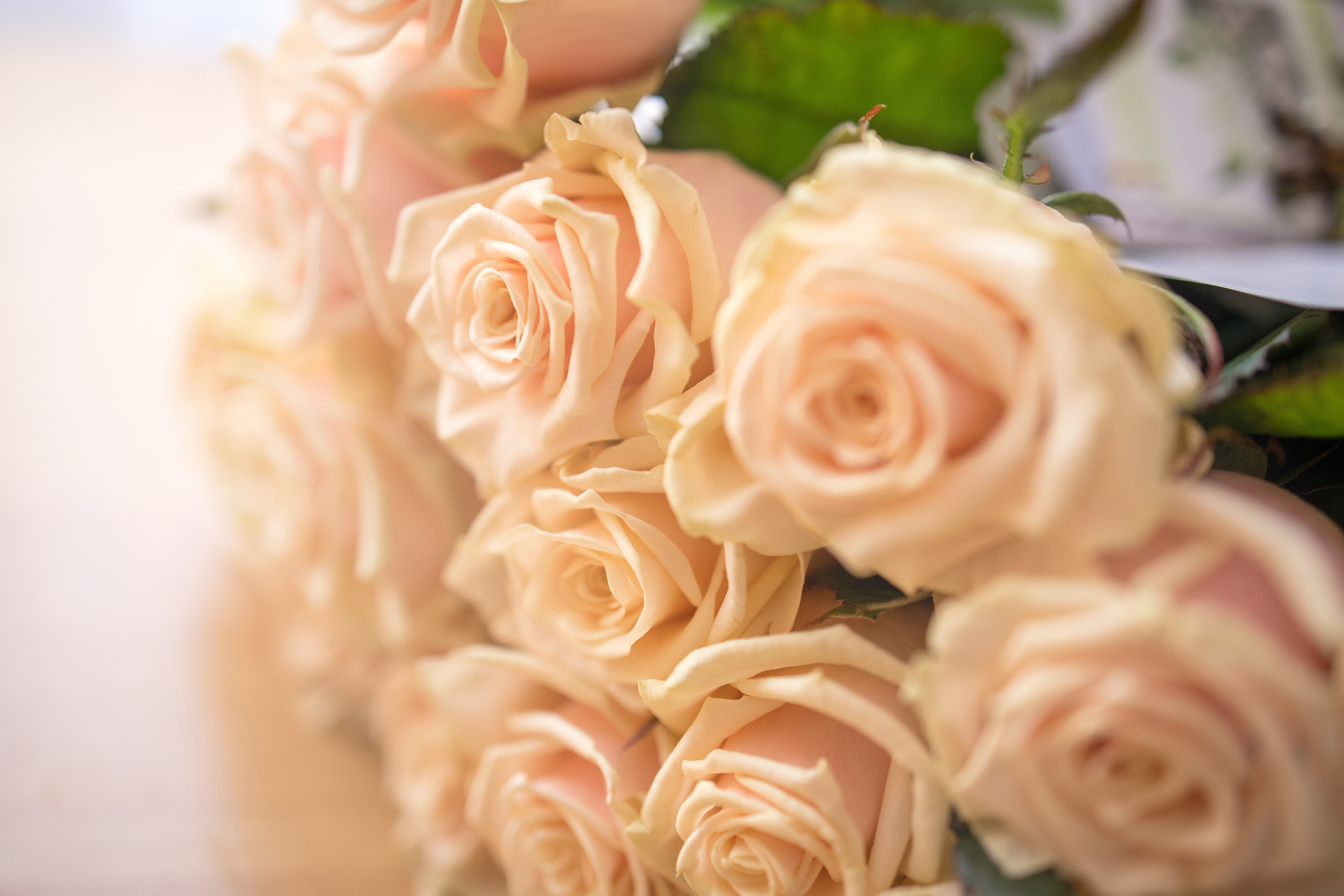 Выписка из роддома | Maternity. Женский и семейный фотограф Светлана