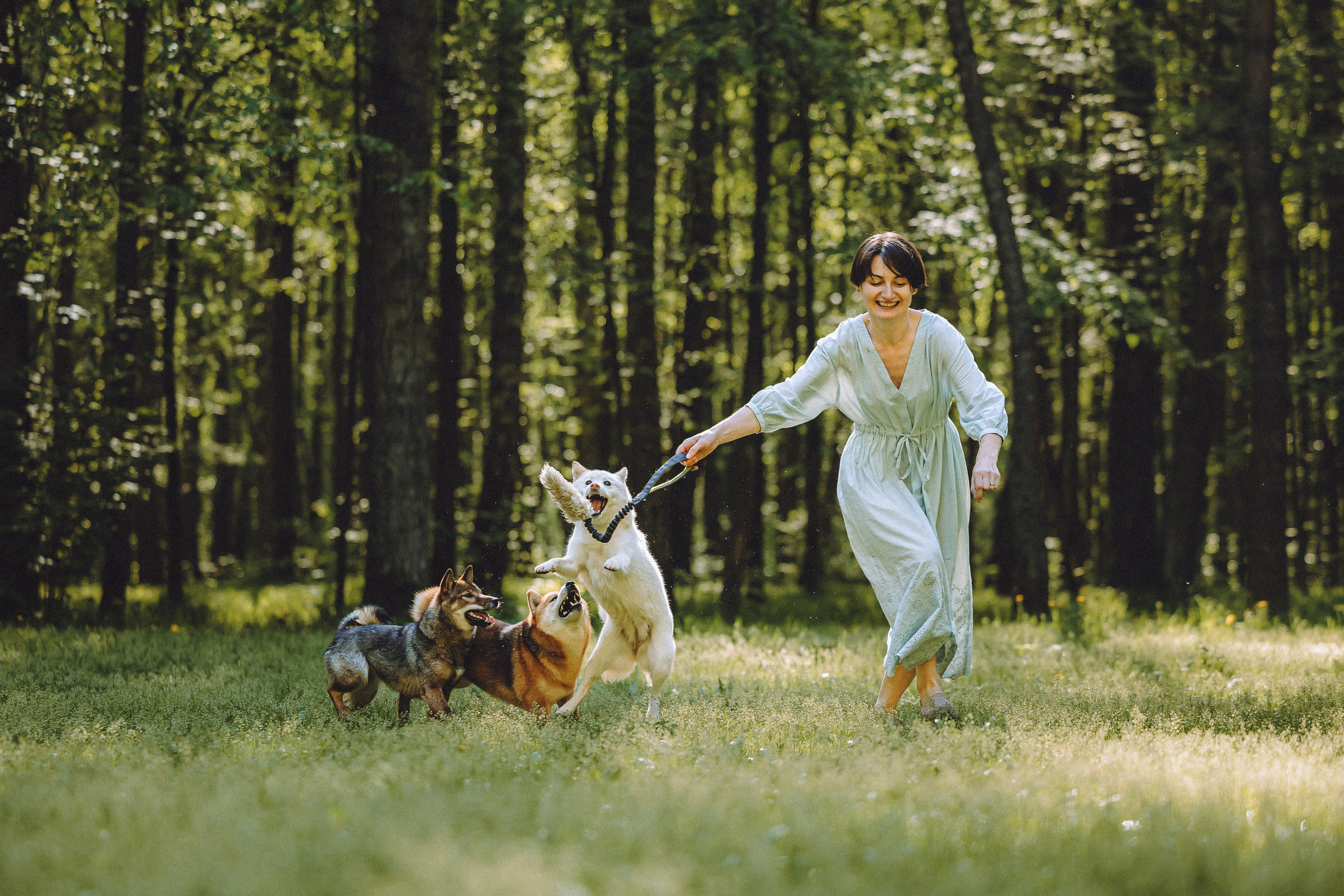 Шед, Цири, Чиби, Цера и их семья