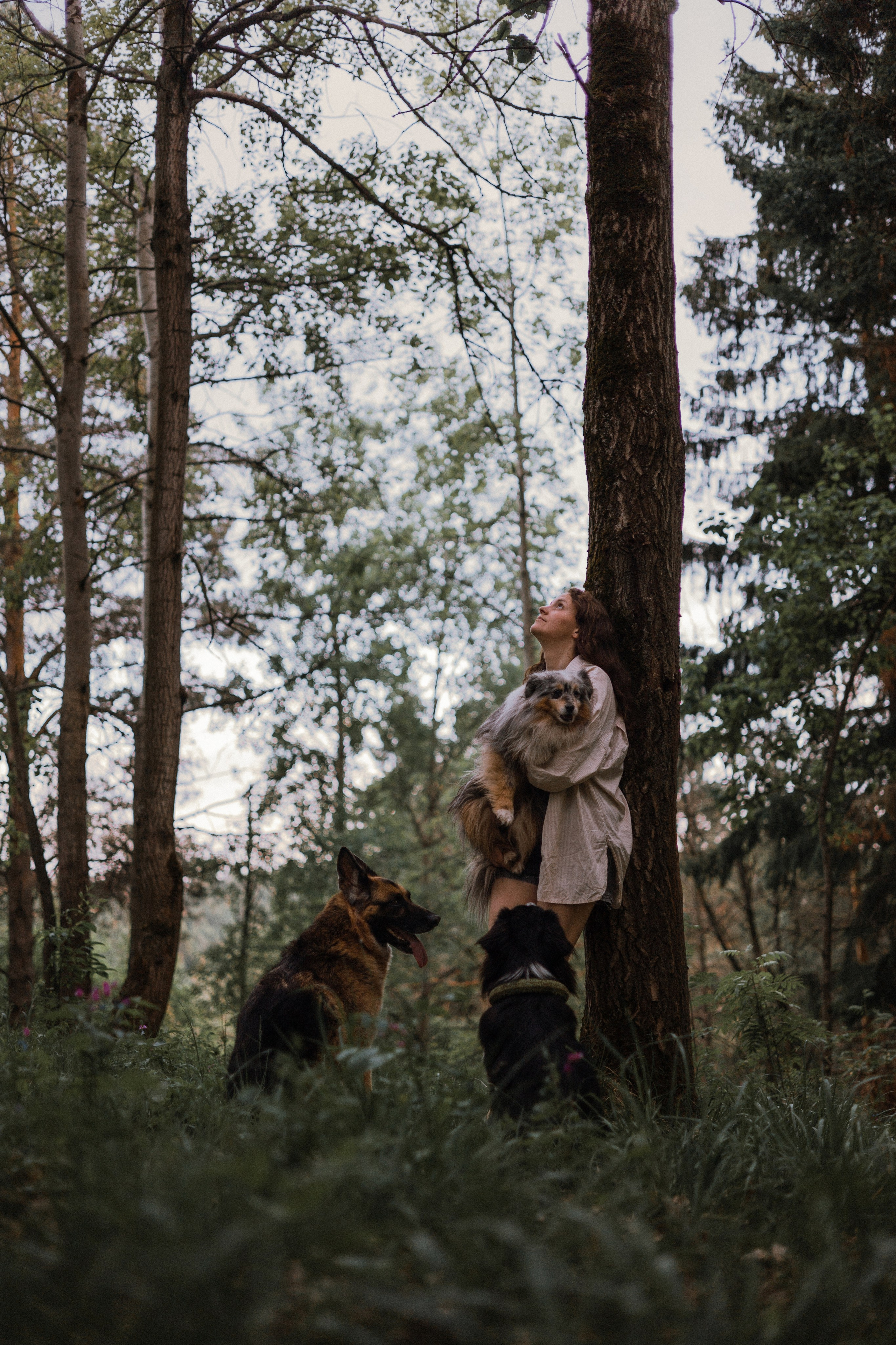 Настя, Шуня, Милка и Тигуан. Фотограф-анималист Богданова Полина