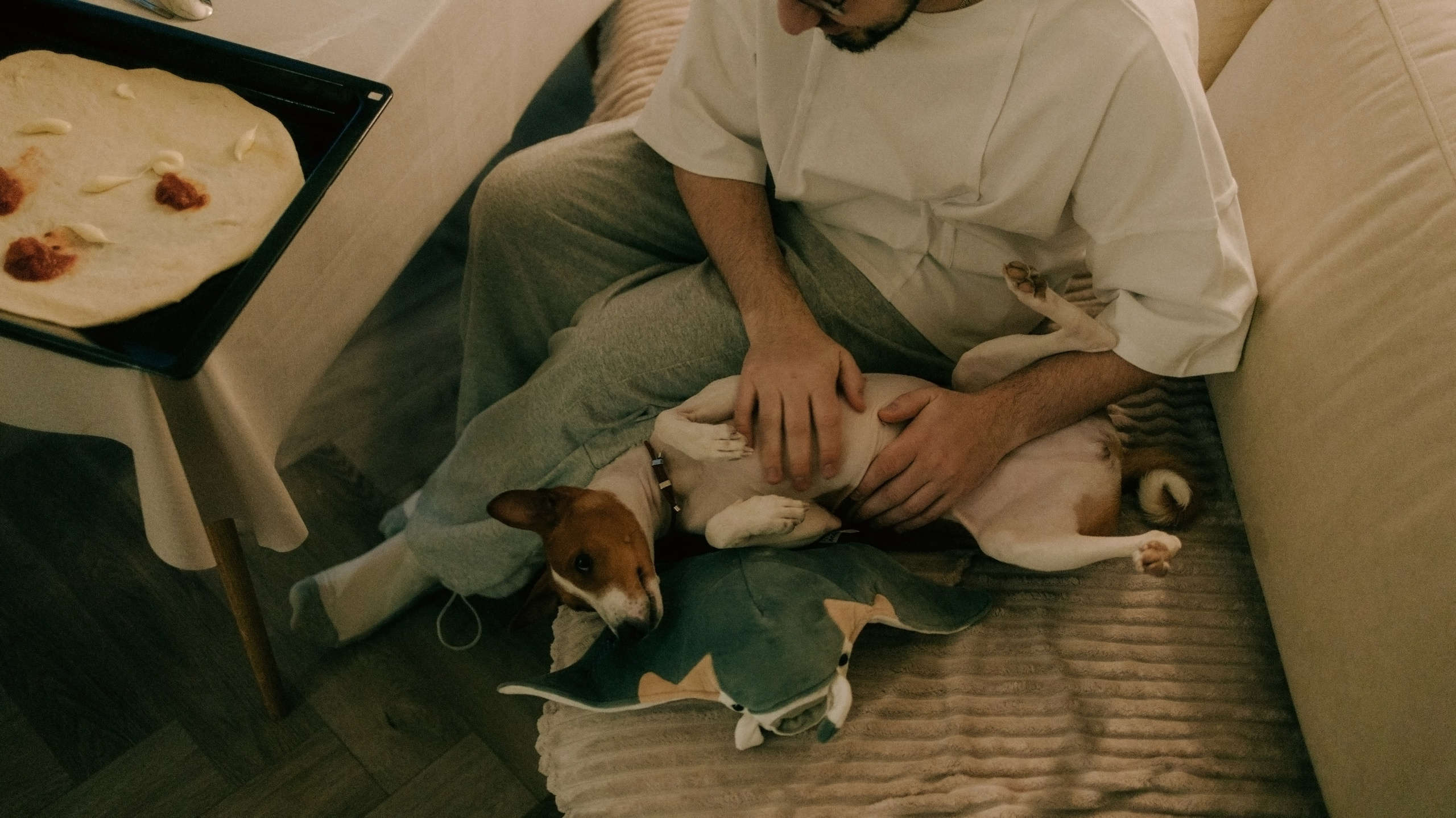 Люба, Никита и Бахати. Фотограф-анималист Богданова Полина