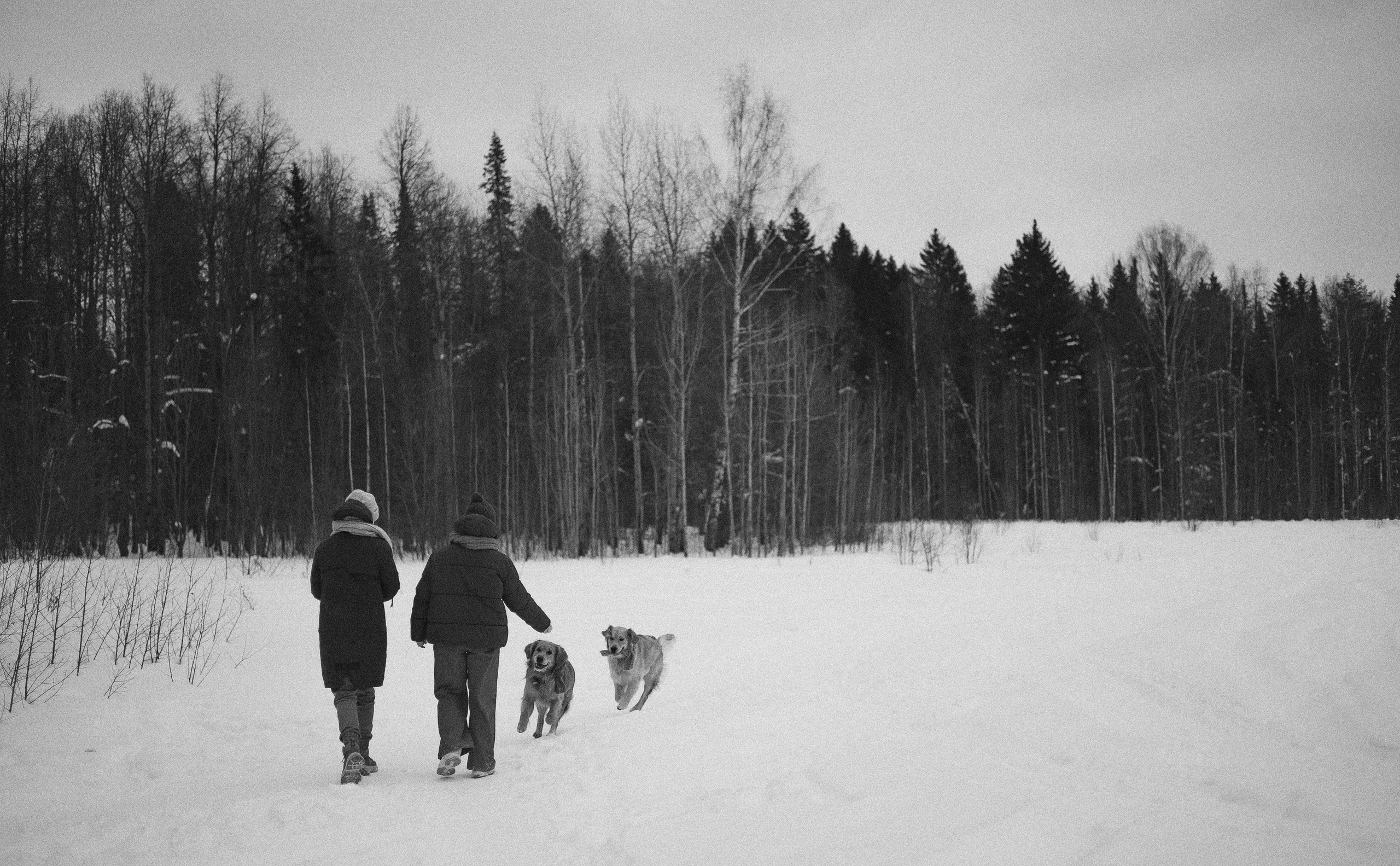 Саша, Юля, Грэй и Джой. Фотограф-анималист Богданова Полина