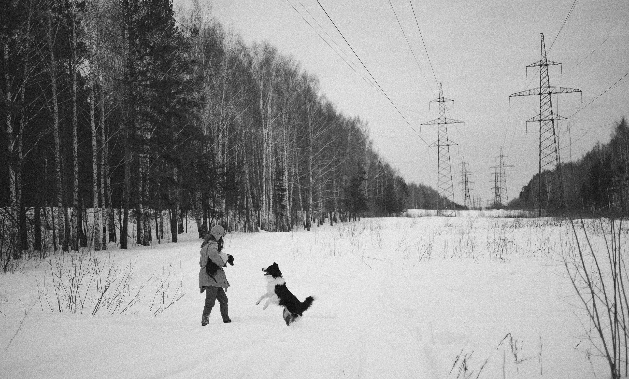 Маша, Рэм и Ньютон. Фотограф-анималист Богданова Полина