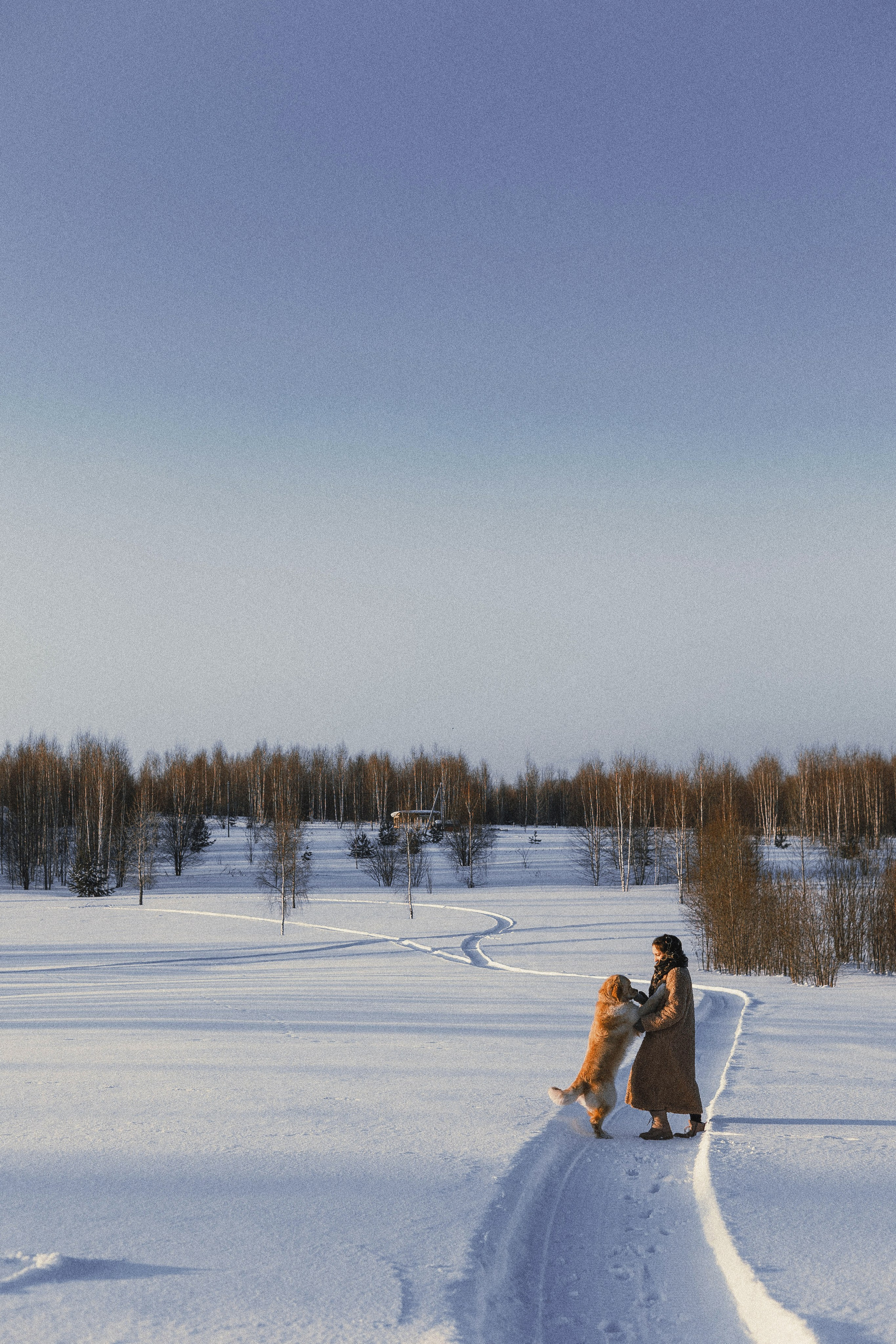Лена и Декстер. Фотограф-анималист Богданова Полина