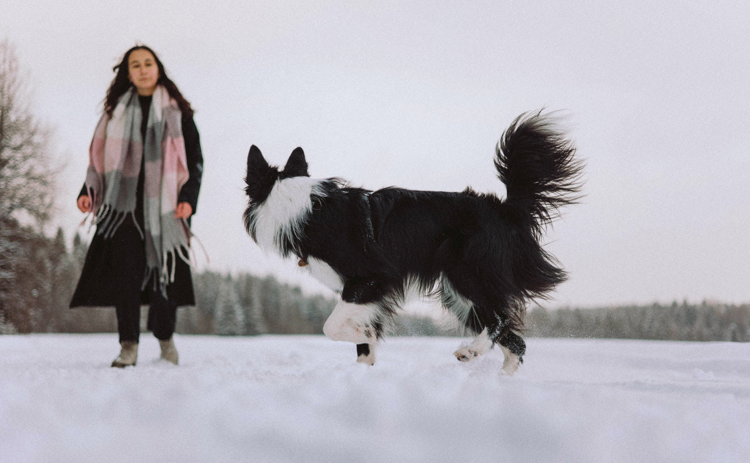 Алина и Найт. Фотограф-анималист Богданова Полина