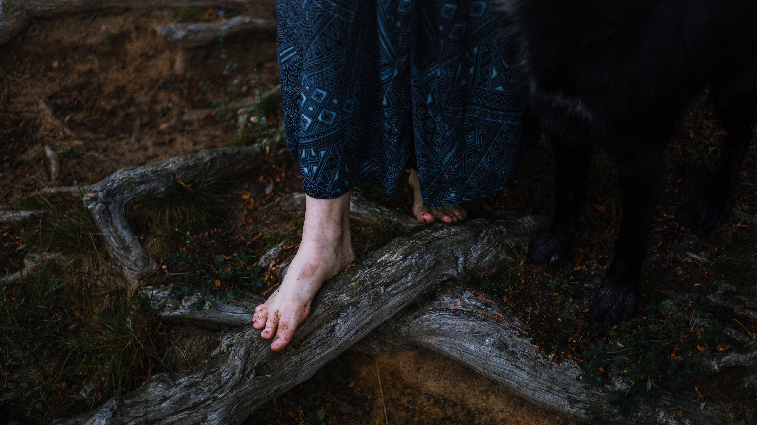 Лиза и Коди. Фотограф-анималист Богданова Полина